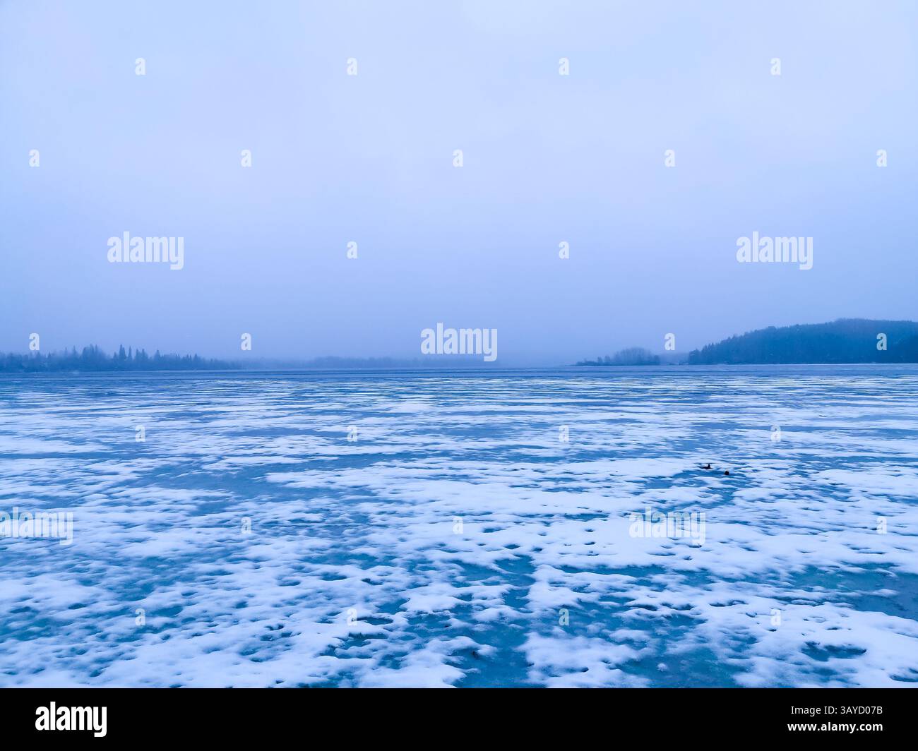Un lago ghiacciato durante una giornata invernale ventosa. Foto Stock