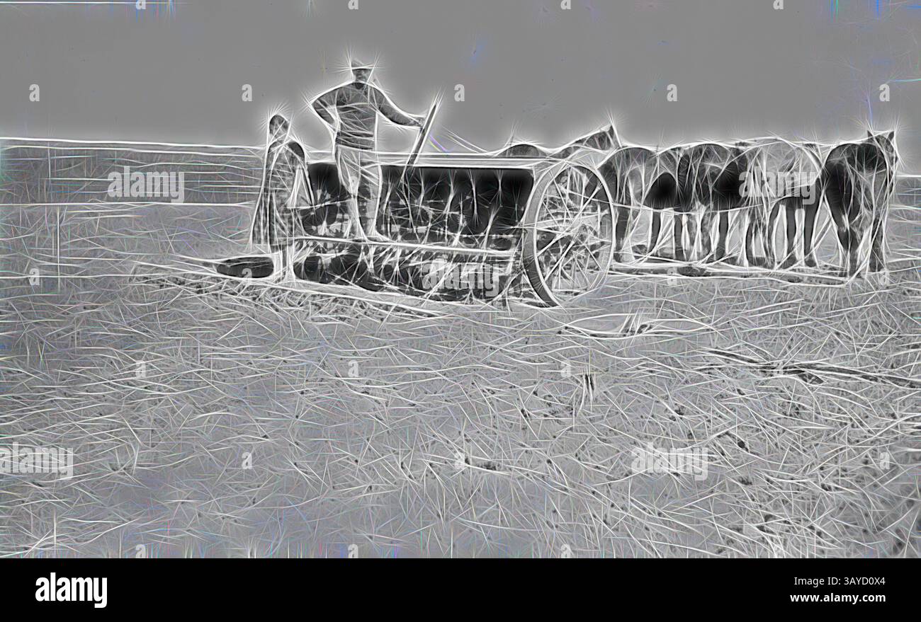 Un contadino si erge orgogliosamente accanto alle sue attrezzature trainate da cavalli mentre una donna guarda, mentre i cavalli aspettano pazientemente, suggerendo una scena di vita rurale e duro lavoro nei campi., negativo - Allen Family Sewing Seeds, Karawinna District, Victoria, 1929, Mr and Mrs Allen seminano semi in un paddock. Utilizzano una seminatrice disegnata da sei cavalli. Arte classica con un tocco moderno reinventata da Artotop Foto Stock