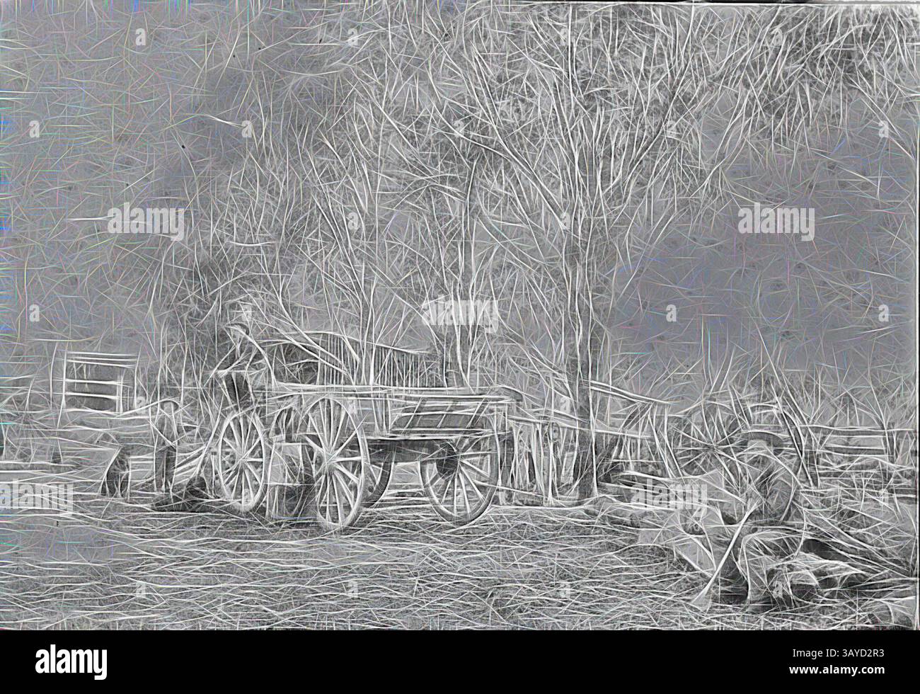 Una scena rustica con un carro trainato da cavalli accanto a una recinzione di legno, con due figure impegnate nel lavoro manuale in mezzo a uno sfondo di alberi. L'atmosfera evoca un senso di intramontabilità e duro lavoro in un ambiente rurale., negativo - Boyle Family with Farm Waggon, Lake Goldsmith, Victoria, circa 1885, Robert Boyle e la famiglia in posa con un carro agricolo, nella proprietà della famiglia sul lago Goldsmith. Robert Boyle fu la prima persona a selezionare una terra a Lake Goldsmith in base al Duffy Land Act nel 1862. Robert Boyle è seduto su un tronco in primo piano che appoggia un asse contro il ginocchio. Sua moglie, Julia, lo e' Foto Stock