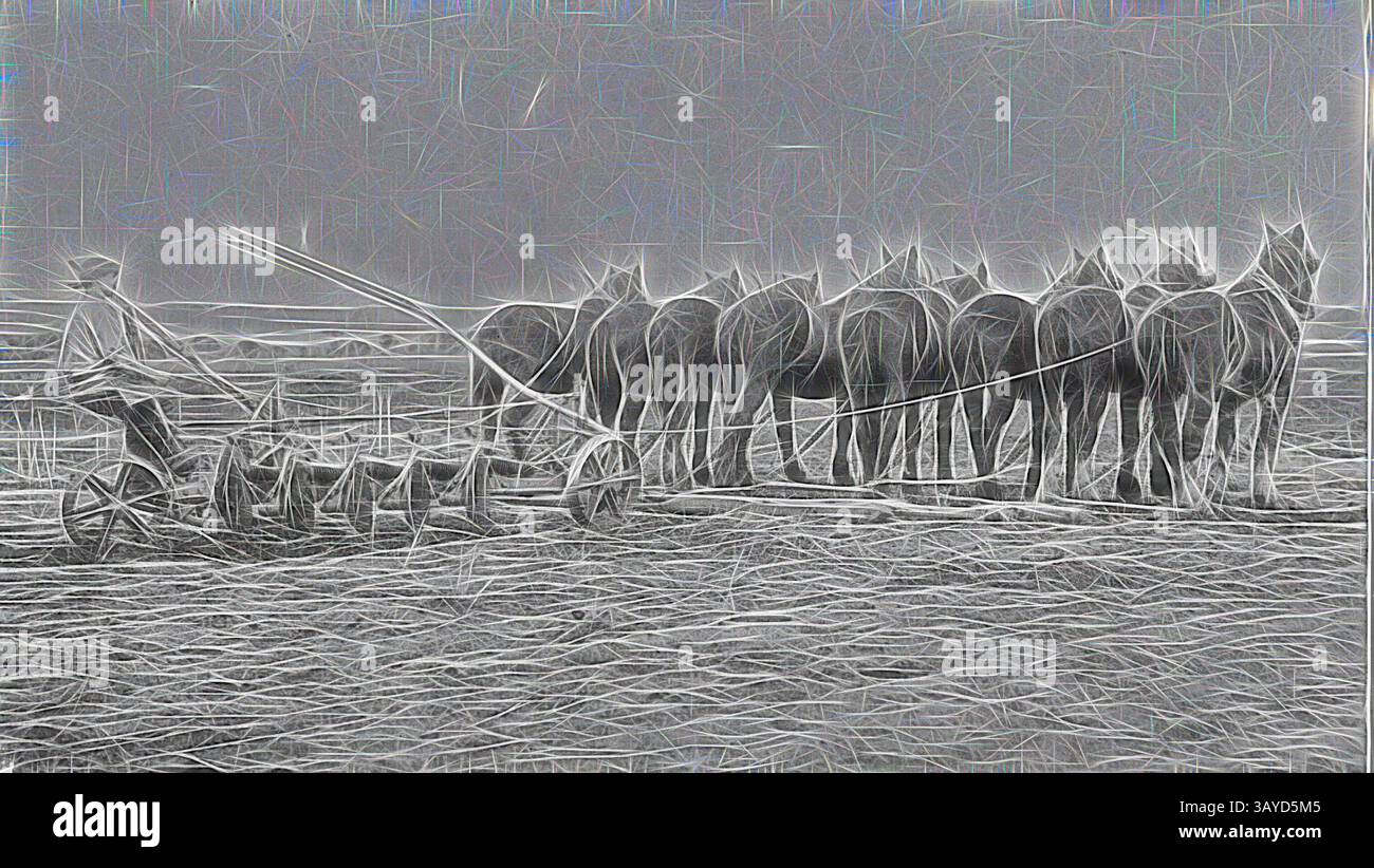 Un contadino guida una squadra di cavalli mentre arano il campo, mostrando un mix di duro lavoro e tradizione in un paesaggio rurale. Negative - Eight Horse Ploughing Team con Five Disc Plough, Muchea District, Western Australia, circa 1925, otto team di aratura con un aratro a cinque dischi., arte classica con un tocco moderno reinventata da Artotop Foto Stock