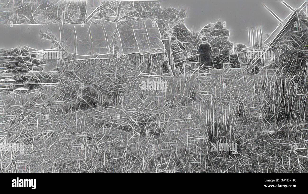 Una baracca intemprata si trova tra alte erbe selvatiche, con i resti di un vecchio muro di pietra nelle vicinanze. La scena trasmette un senso di abbandono e il passare del tempo, dove la natura inizia a recuperare lo spazio., negativo - campo minerario, Jackass Gully, Creswick, Victoria, 1931, un campo minerario: tenda addormentata a sinistra, tenda da riposta a destra. La tenda al centro era fatta di sacchi di patate tagliati. Il legno sulla sinistra è stato utilizzato per sostenere i tunnel minerari, arte classica con un tocco moderno reinventata da Artotop Foto Stock