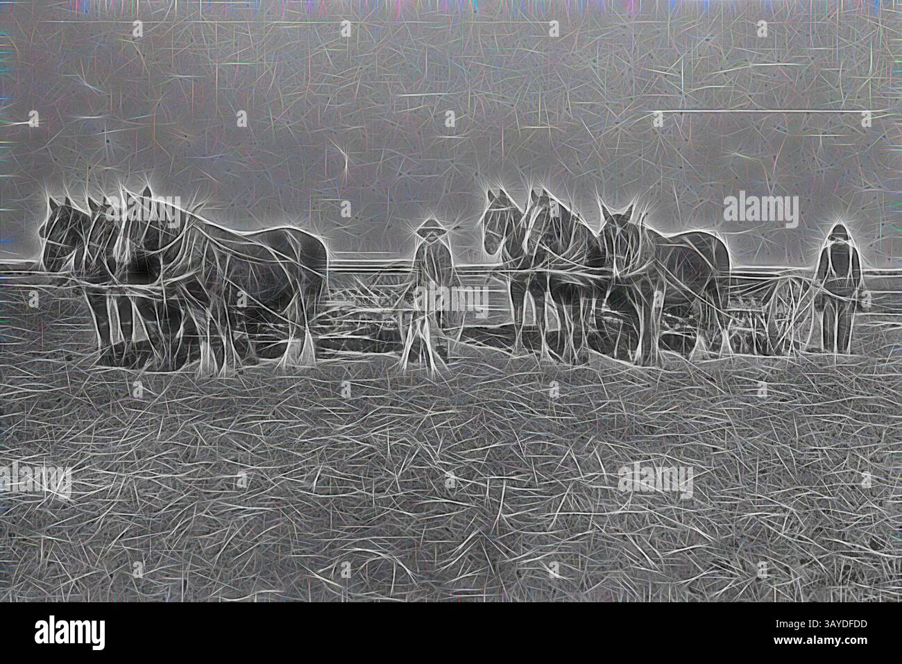 Un contadino si trova tra una squadra di cavalli, tutti adagiati su un campo ricoperto di paglia, con un senso di duro lavoro e di vita rurale catturati nella loro posizione e nei dintorni., negativo - Hopetoun, Victoria, circa 1890, semina grano, due squadre di cavalli con trapani. arte classica con un tocco moderno reinventata da Artotop Foto Stock