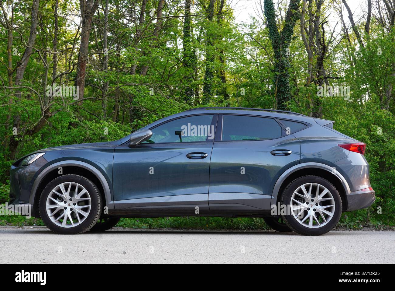 Bucarest, Romania – 20 aprile 2025: Vista laterale dell'auto d'argento di Cupra parcheggiata su strada lungo la foresta verde Foto Stock