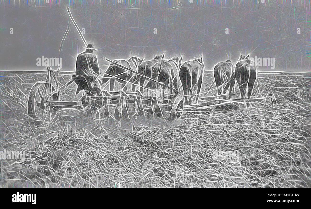 Un contadino guida una squadra di cavalli mentre arano un vasto campo aperto, mettendo in evidenza la forza dei metodi agricoli tradizionali in armonia con la natura. La scena cattura l'essenza del duro lavoro e la connessione tra l'umanità e la terra. Negative - Nandaly, Bimbourie, Victoria, di Bill Boyd, 1920, negativo fotografico in bianco e nero del fotografo William (Bill) Boyd.depicting attività agricole, famiglia e vita domestica di persone che stabilirono la difficile frontiera del grano del Mallee, principalmente dentro e intorno alle città di Nandaly e Sea Lake., arte classica con un tocco moderno Foto Stock