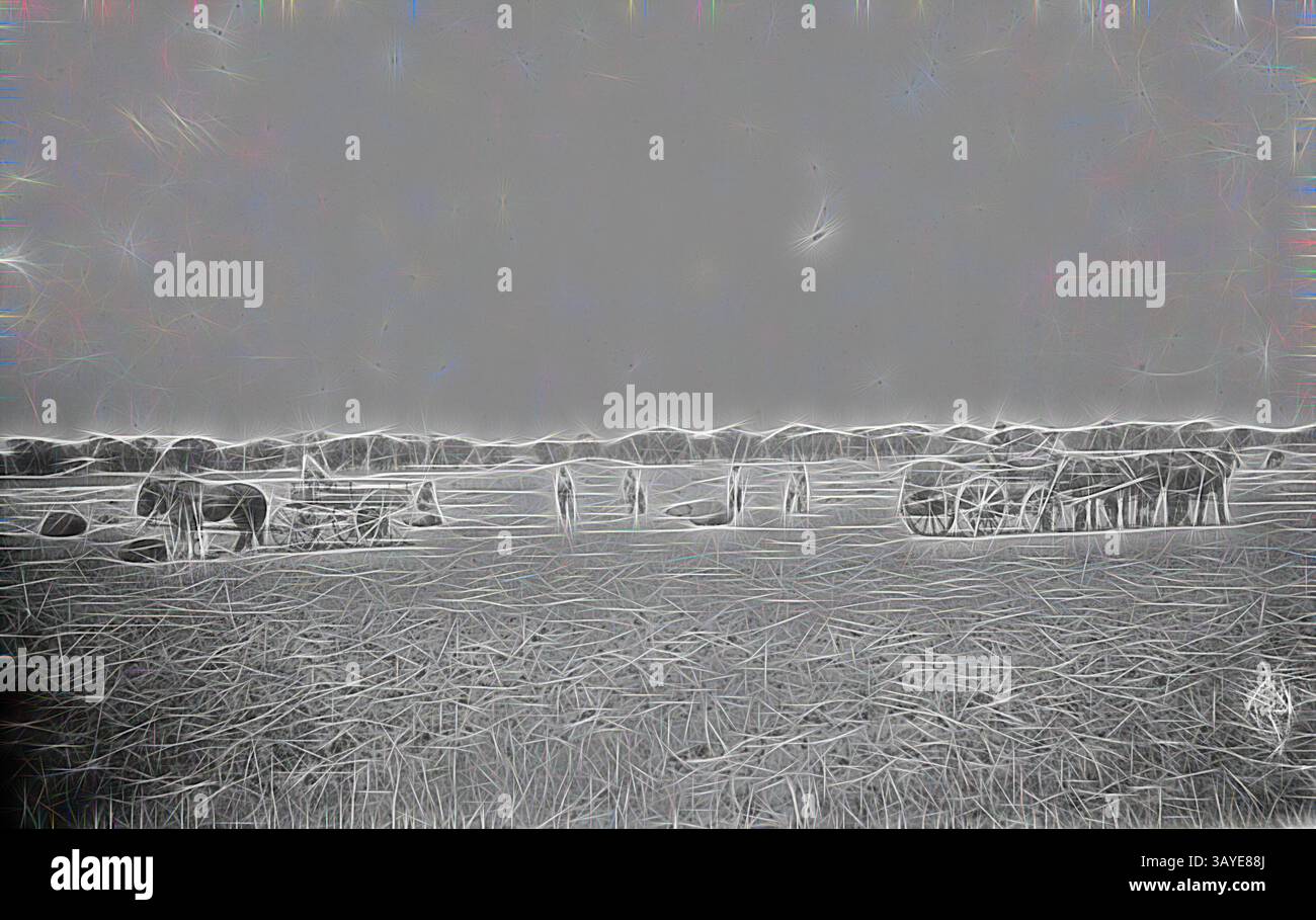 Un tranquillo paesaggio caratterizzato da due cavalli e un carro trainato da cavalli tra colline ondulate e campi aperti, che trasuda un senso di tranquillità senza tempo. Negativo - Wentworth District, New South Wales, circa 1905, asciugando balle di lana che sono state recuperate dalla chiatta affondata "Florence Annie". Le balle sono state messe a terra e ci sono due carri trainati da cavalli. L'albergo è la stazione 'Balcatherine', arte classica con un tocco moderno reinventata da Artotop Foto Stock