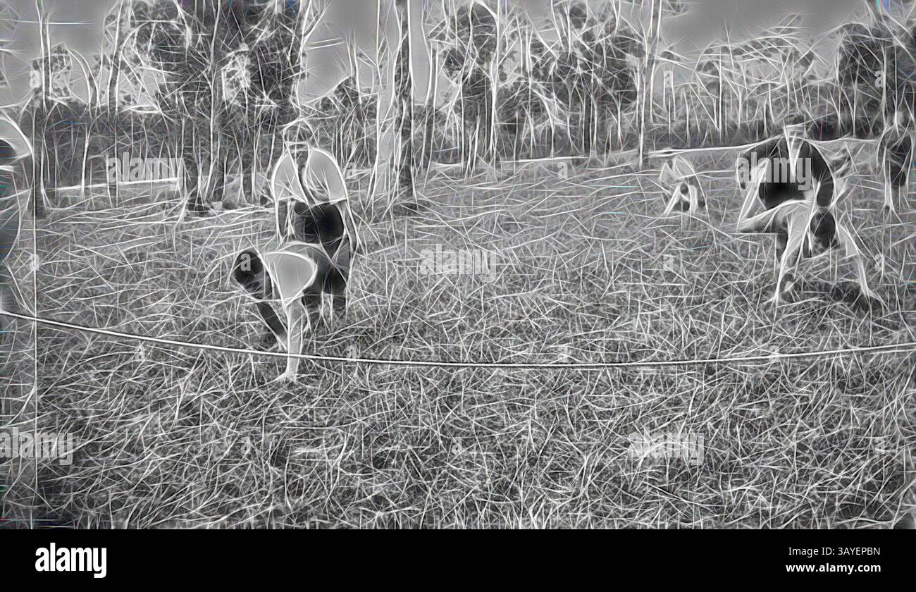 Gli agricoltori lavorano diligentemente in un campo, si piegano verso il basso per tenersi al raccolto, circondati da alberi. La scena cattura l'essenza del duro lavoro e della connessione con la terra., negativo - Timboon District, Victoria, circa 1935, Un certo numero di ragazzi che gareggiano in una corsa di carriola., arte classica con un tocco moderno reinventata da Artotop Foto Stock