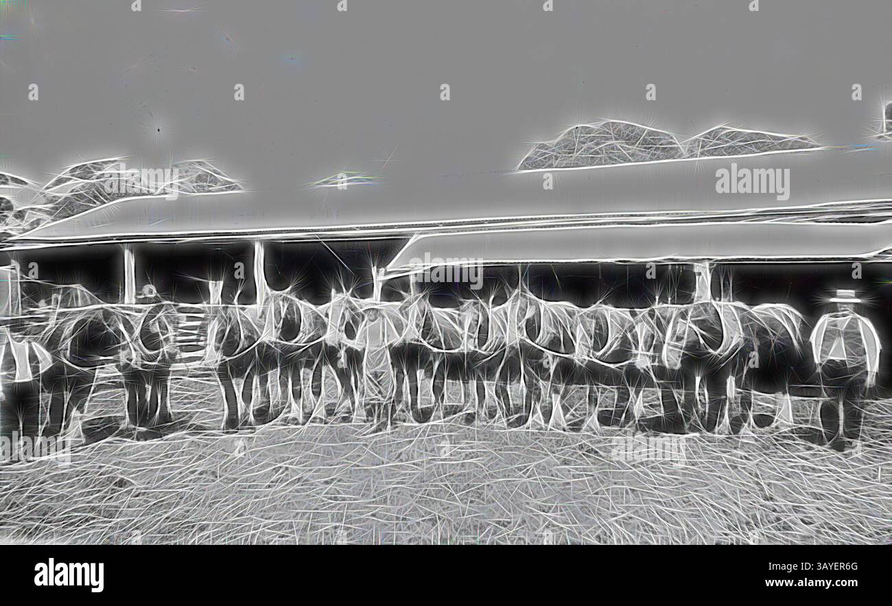 Un gruppo di individui si trova in linea con le spalle voltate, di fronte a un edificio. La scena cattura un'atmosfera di Unione e attesa, incorniciata dalla semplicità del loro ambiente. Negativo - Nhill District, Victoria, 1919, tre uomini con un gruppo di undici cavalli nella fattoria "Boxdale"., arte classica con un tocco moderno reinventata da Artotop Foto Stock