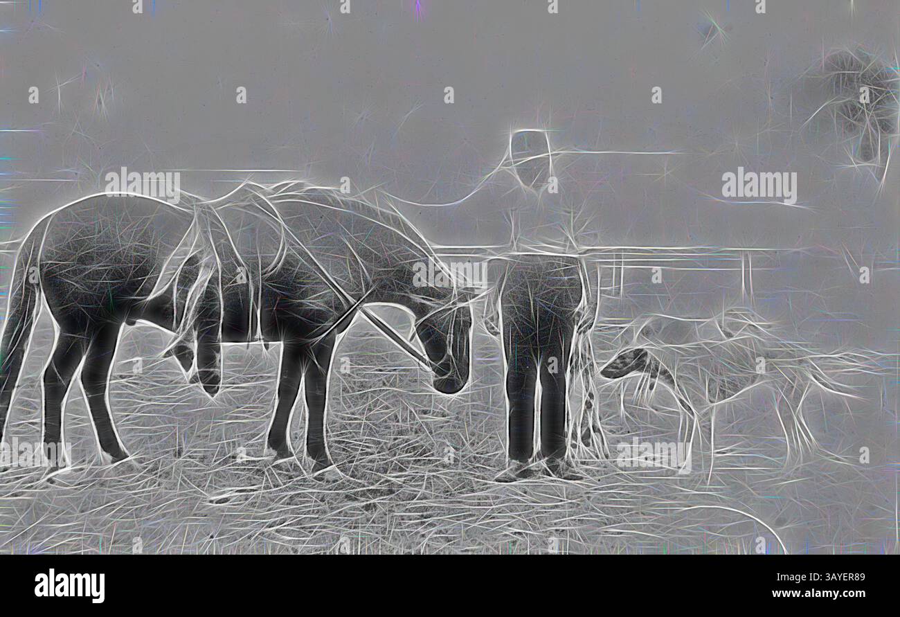 Una persona sta accanto a due cavalli, mentre un cane interagisce con loro, il tutto ambientato su uno sfondo testurizzato che suggerisce una qualità eterea., negativo - uomo con cavallo, levrieri e conigli morti e volpi, Nhill, Victoria, 1919, Un uomo con il suo cavallo e i suoi cani. Dopo aver corso con i suoi cani, la borsa era composta da due volpi e due conigli. Uno dei cani, 'Tommy', ha vinto molti eventi di corvo nel quartiere, arte classica con un tocco moderno reinventata da Artotop Foto Stock