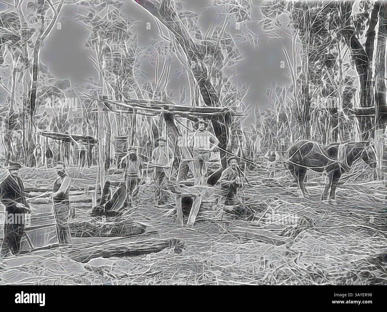 Un gruppo di lavoratori è impegnato in varie attività in un'area boschiva, con strumenti e strutture che indicano un ambiente di lavoro manuale. Alcuni uomini sono riuniti intorno ad attrezzature improvvisate, mentre un cavallo si trova nelle vicinanze, aggiungendo un'atmosfera rustica., negativo - Mafeking, Grampians, Victoria, circa 1909, minatori in una miniera d'oro nella catena montuosa del monte William, arte classica con un tocco moderno reinventata da Artotop Foto Stock