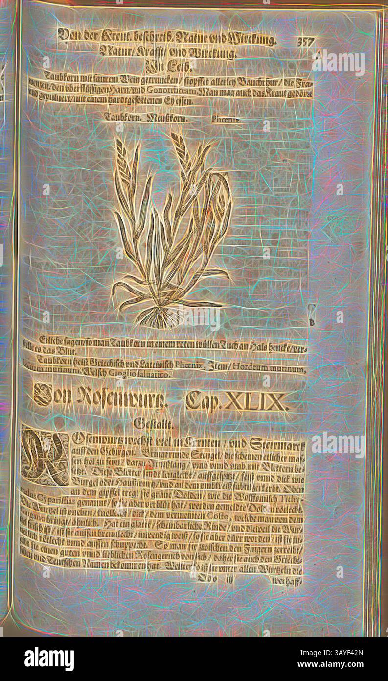 Un'intricata illustrazione di una pianta accompagna un testo dettagliato, ricco di contesto storico e terminologia botanica. L'artigianato mette in risalto sia l'arte che l'esplorazione scientifica del mondo naturale: Phoenix, Daubkorn, Meuszkorn, Fol. 357r, 1590, Pietro Andrea Mattioli, Joachim Camerarius: Kreuterbuch desz hochgelehrten unnd weitberühmten Herrn D. Petri Andreae Matthioli. Franckfort am Mayn: [Feyrabendt], 1590, arte classica con un tocco moderno reinventata da Artotop Foto Stock