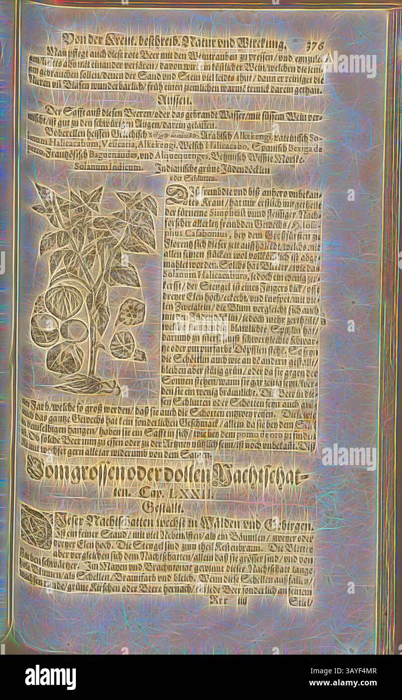 Un'antica pagina di manoscritti con intricate illustrazioni botaniche accompagnate da un testo dettagliato, che parla delle piante medicinali e del loro uso. La pagina mostra l'arte della prima documentazione scientifica con una miscela di accurata scrittura a mano ed elementi decorativi: Solanum indicum, Indian Green Jewish Ducks o Schluten, Fol. 376r, 1590, Pietro Andrea Mattioli, Joachim Camerarius: Kreuterbuch desz hochgelehrten unnd weitberühmten Herrn D. Petri Andreae Matthioli. Franckfort am Mayn: [Feyrabendt], 1590, arte classica con un tocco moderno reinventata da Artotop Foto Stock
