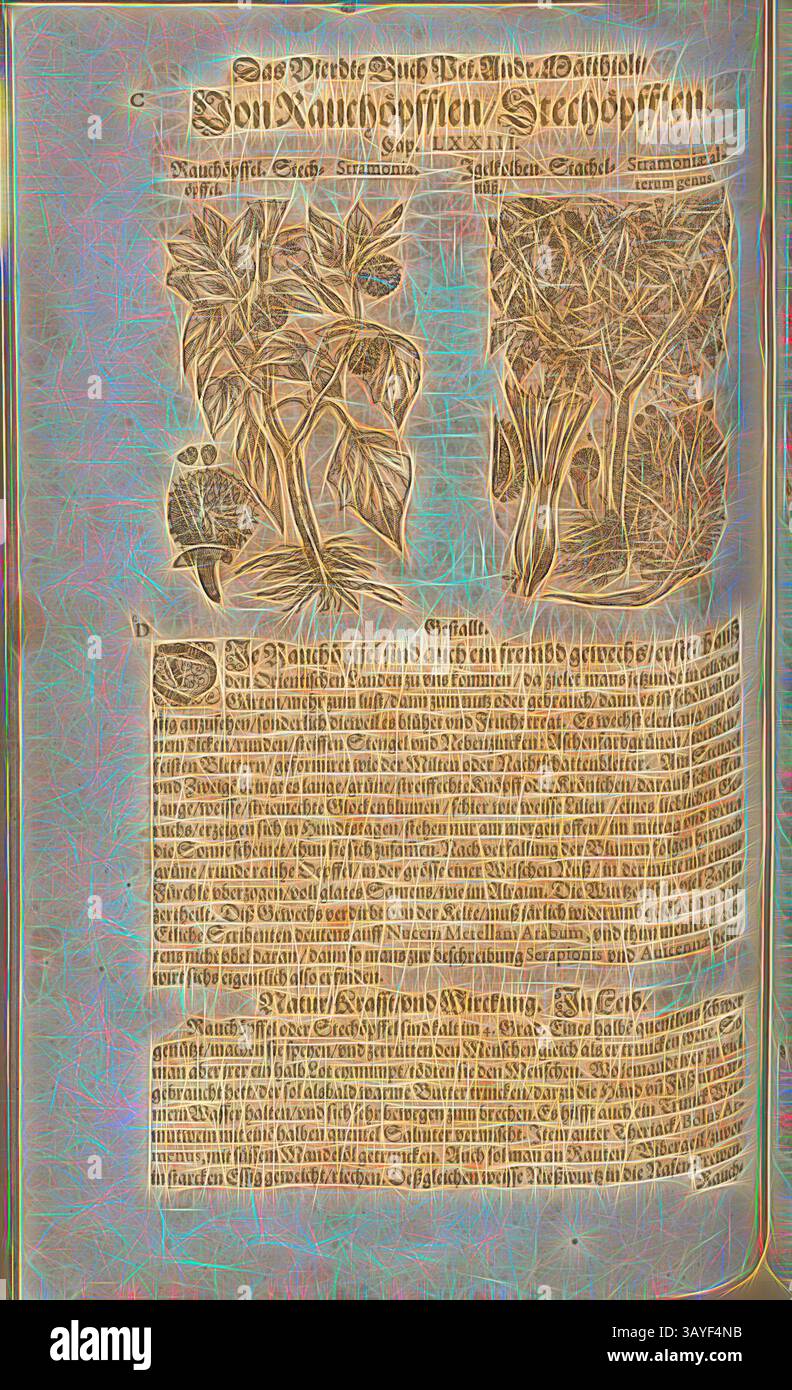 Un'intricata illustrazione che presenta disegni botanici dettagliati di piante insieme a testo in tedesco. Il design include elementi floreali stilizzati e scritte ornate, creando una composizione visivamente accattivante che fonde arte e informazione. Stramonia e Stramonia l'altra classe, maiale affumicato, maiale pungente e riccio, spiked, Fol. 377v, 1590, Pietro Andrea Mattioli, Joachim Camerarius: Kreuterbuch desz hochgelehrten unnd weitberühmten Herrn D. Petri Andreae Matthioli. Franckfort am Mayn: [Feyrabendt], 1590, arte classica con un tocco moderno reinventata da Artotop Foto Stock