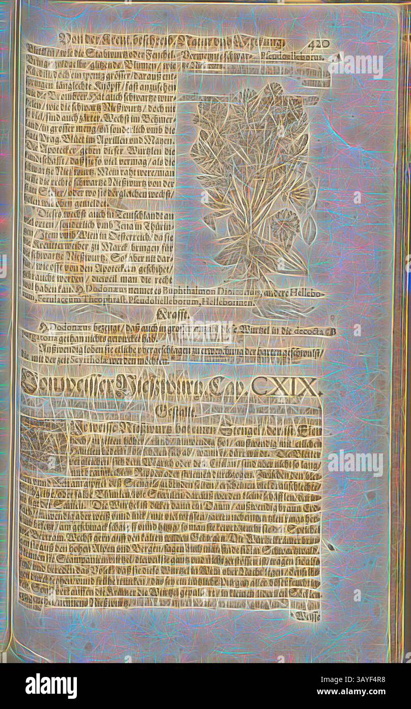 Un'antica pagina di manoscritti con testo intricato e una dettagliata illustrazione botanica, che mostra la miscela di osservazione scientifica e rappresentazione artistica in scritti storici., Pseudoelleborus, Vermeynte Black Nieszwurtz, Fol. 420r, 1590, Pietro Andrea Mattioli, Joachim Camerarius: Kreuterbuch desz hochgelehrten unnd weitberühmten Herrn D. Petri Andreae Matthioli. Franckfort am Mayn: [Feyrabendt], 1590, arte classica con un tocco moderno reinventata da Artotop Foto Stock