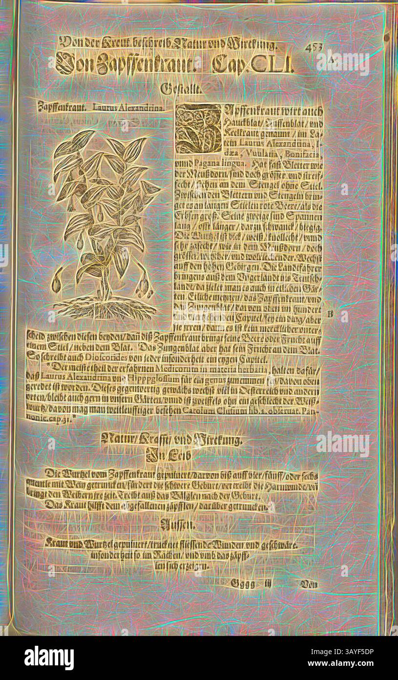 Una pagina ornata che presenta un'intricata illustrazione di una pianta a fianco di un testo dettagliato, che mette in evidenza informazioni e classificazioni botaniche, suggestiva di un documento storico o scientifico. Il layout combina design artistico con contenuti accademici., Laurus Alexandrina, erba in vaso, Fol. 453r, 1590, Pietro Andrea Mattioli, Joachim Camerarius: Kreuterbuch desz hochgelehrten unnd weitberühmten Herrn D. Petri Andreae Matthioli. Franckfort am Mayn: [Feyrabendt], 1590, arte classica con un tocco moderno reinventata da Artotop Foto Stock