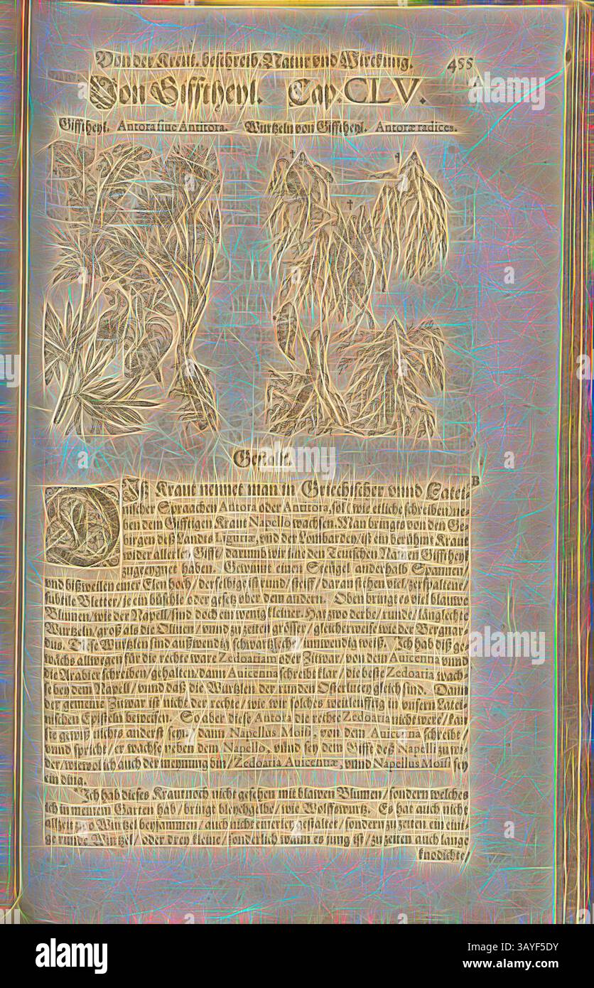 Una pagina illustrata con disegni botanici dettagliati e testo che discute varie specie di piante e le loro caratteristiche. La composizione mescola l'arte visiva con l'esplorazione scientifica, riflettendo un approccio storico alla documentazione della natura, e spostando le sue radici spostando la sua o Antitora, Gifftheyl e Wurtzeln di Gifftheyl, Fol. 455r, 1590, Pietro Andrea Mattioli, Joachim Camerarius: Kreuterbuch desz hochgelehrten unnd weitberühmten Herrn D. Petri Andreae Matthioli. Franckfort am Mayn: [Feyrabendt], 1590, arte classica con un tocco moderno reinventata da Artotop Foto Stock