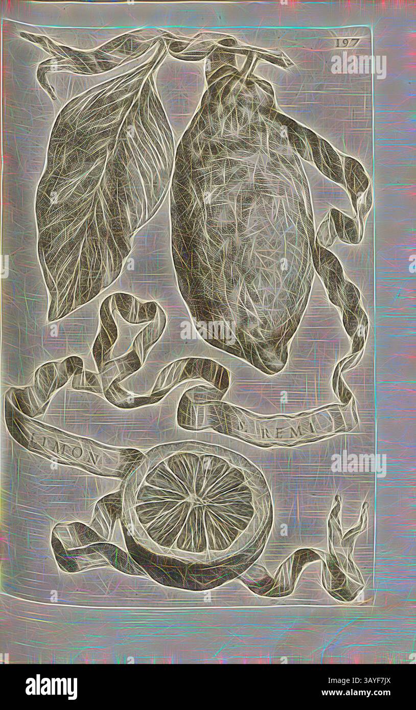 Un'illustrazione dettagliata di un limone con foglie, accompagnata da un nastro arricciato con la parola "limone". Un segmento di limone a fette è posizionato sotto, il tutto reso in un lavoro di linea intricato., Limon S. remi, agrumi, fig. 25, p. 196, 1646, Giovanni Battista Ferrari: Hesperides sive de malorum aureorum cultura et usu libri quatuor. Romae: Sumptibus Hermanni Scheus, 1646, arte classica con un tocco moderno reinventata da Artotop Foto Stock