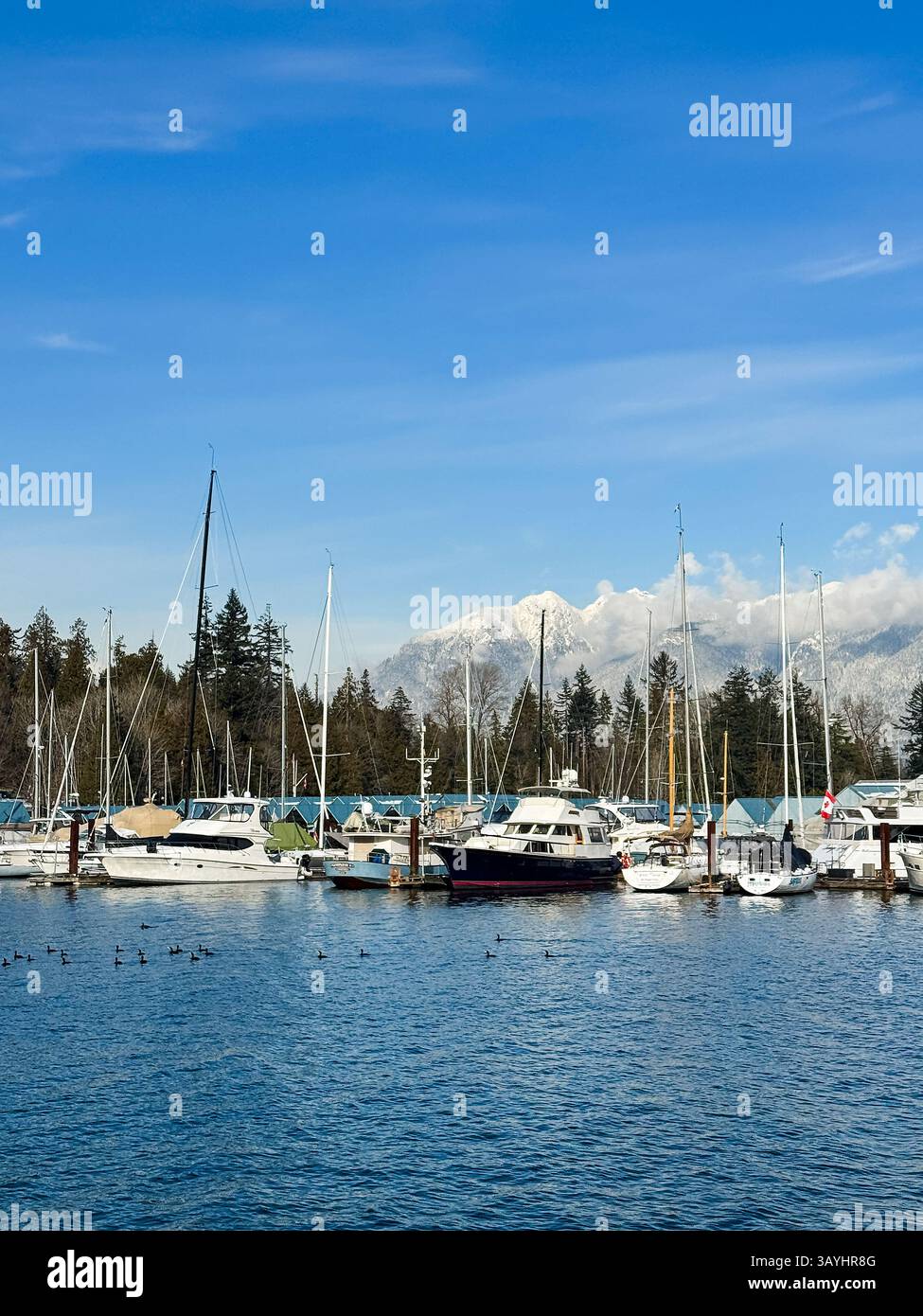 Barche nel porto con maestose montagne innevate sullo sfondo, Coal Harbour, Vancouver, British Columbia, Canada Foto Stock