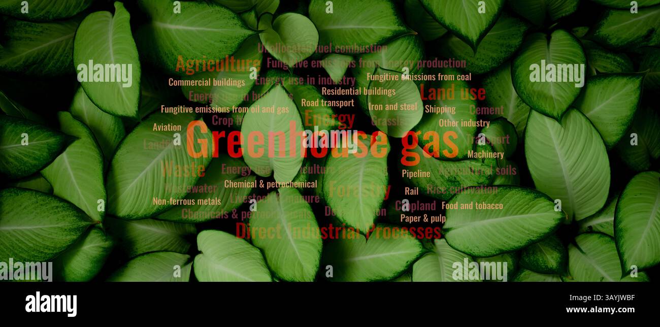 Emissioni di gas a effetto serra derivanti dall'agricoltura e dalle attività industriali che rilasciano inquinamento atmosferico nell'atmosfera, simboleggiando lo sfondo delle foglie Foto Stock