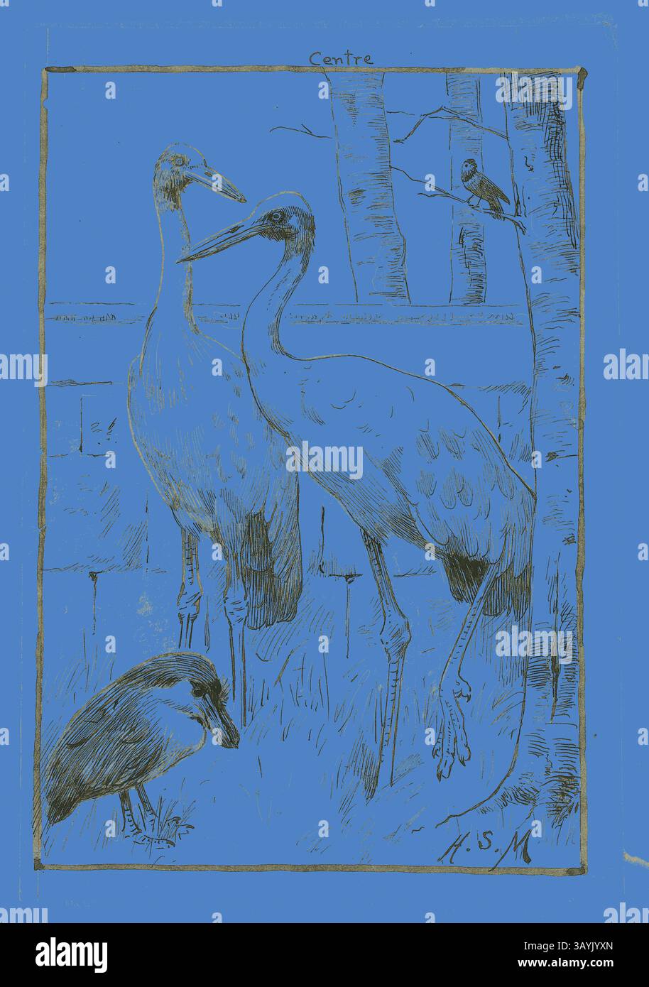 Due eleganti cicogne sorgono graziosamente in un ambiente naturale sereno, circondato da alberi. Un uccello più piccolo è nascosto sotto, mentre lo sfondo vibrante aggiunge un tocco sorprendente alla scena tranquilla. Four Birds in Landscape, n.d., Henry Stacy Marks, inglese, 1829-1898, Inghilterra, penna e inchiostro nero, con pennello e lavaggio grigio e gouache bianco, squadrato in grafite, su carta tessuta avorio, posato su carta tessuta buff, 158 x 108 mm arte classica con un tocco moderno reinventata da Artotop Foto Stock