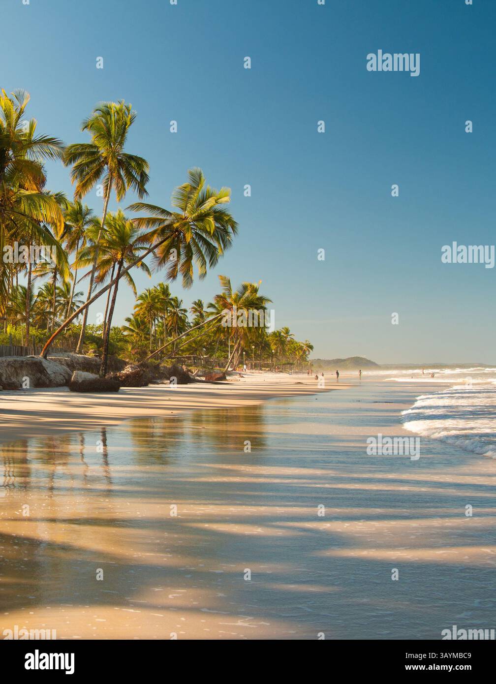Tranquilla spiaggia con onde dolci che si infrangono sulla sabbia dorata sotto un cielo azzurro. Foto Stock