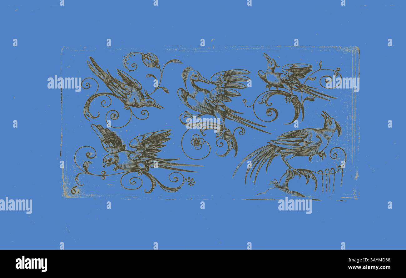Un design vivace che presenta intricate illustrazioni di vari uccelli adornati da eleganti vortici ed elementi floreali, creando una composizione stravagante e artistica. Ornamento pannelli con uccelli: Piastra 6, 1617, Adrian Muntink, olandese, attivo 1597-1617, paesi Bassi, incisione in nero su carta, 49 x 97 mm (piatto) Arte classica con un tocco moderno reinventata da Artotop Foto Stock