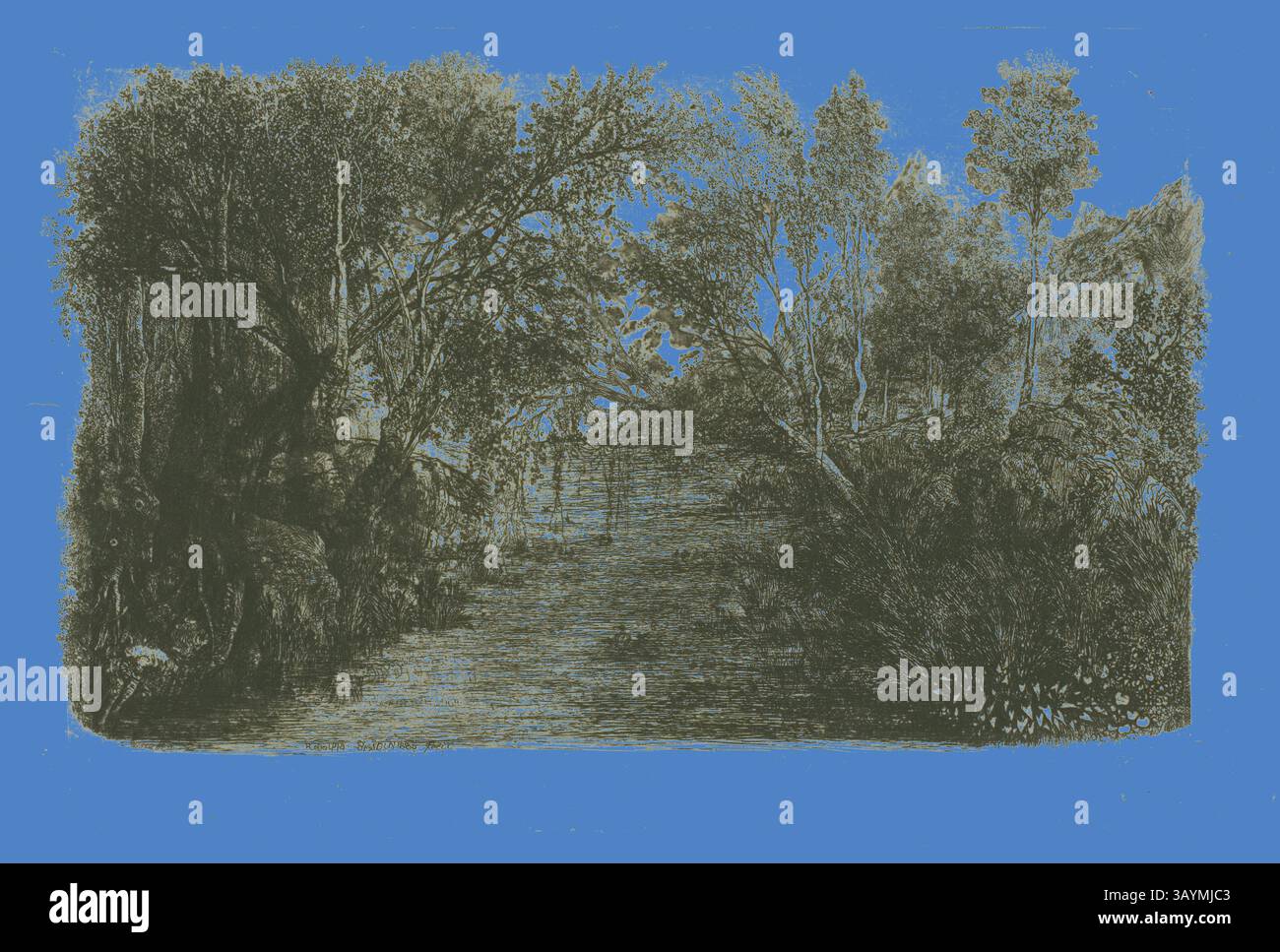 Un tranquillo paesaggio caratterizzato da un tranquillo corso d'acqua circondato da alberi lussureggianti e fogliame, che creano una tranquilla scena naturale. The Creek, 1880, Rodolphe Bresdin, francese, 1825-1885, Francia, incisione e roulette su carta cinese grigio chiaro su carta bianca tessuta, 130 x 205 mm (chine), 134 x 209 mm (piatto), 318 x 449 mm (foglio) Arte classica con un tocco moderno reinventata da Artotop Foto Stock