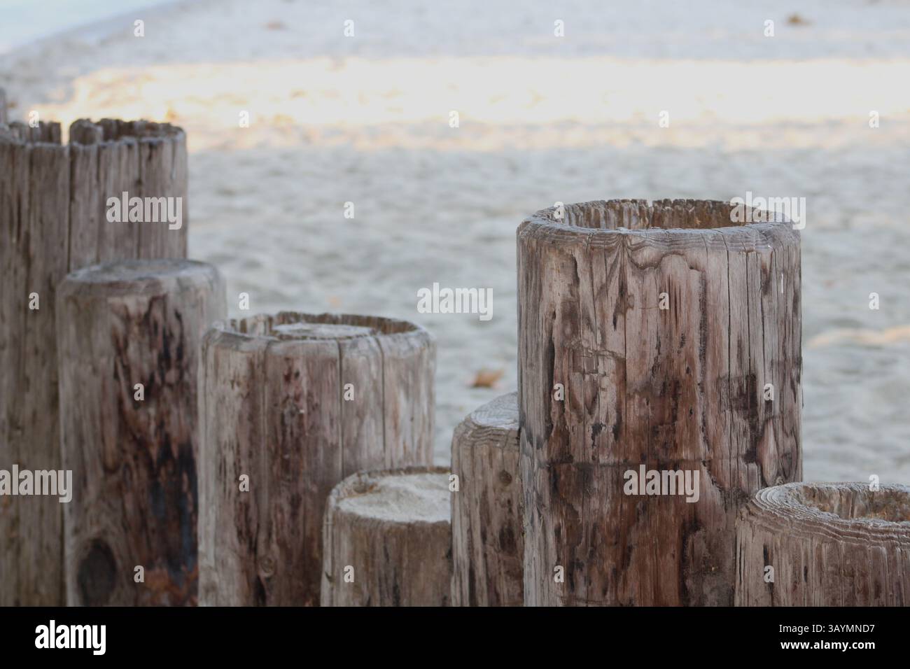 fila di pali di legno al parco Foto Stock