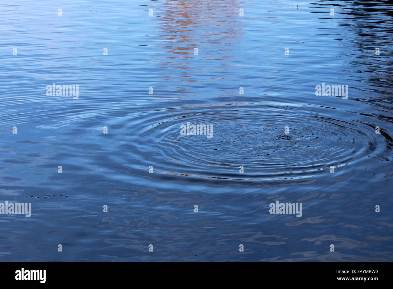 immergiti in acqua blu con increspature Foto Stock