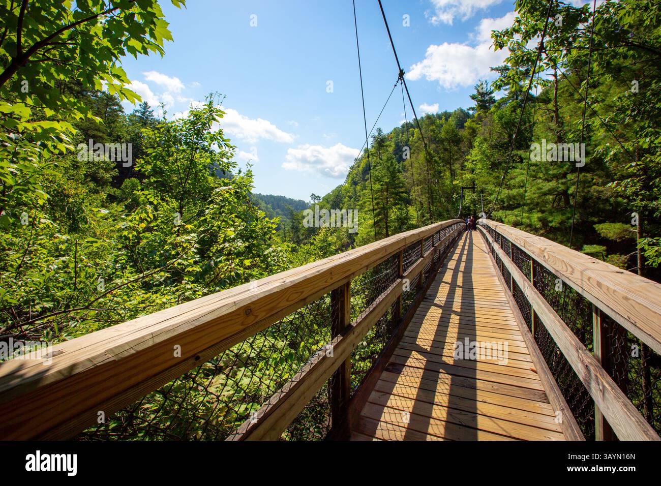 Ponte sospeso su una gola in una giornata di sole Foto Stock Ponte sospeso su una gola in una giornata di sole Foto Stock