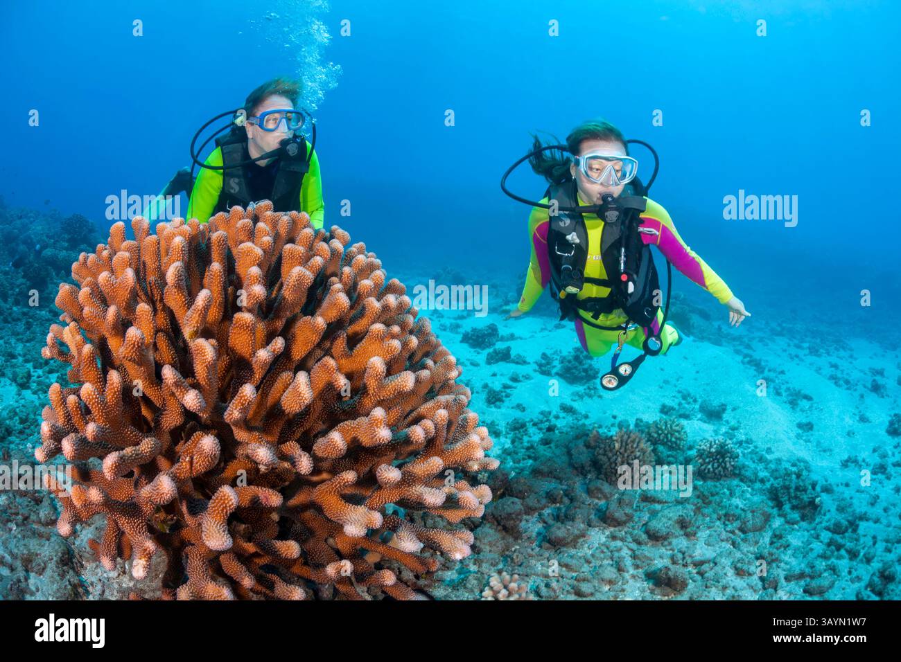 Il famoso artista marino delle Hawaii Robert Lyn Nelson e sua figlia Sienna (MR) ritratti accanto a una grande tribuna di corallo al largo dell'isola di Lanai, Hawa Foto Stock
