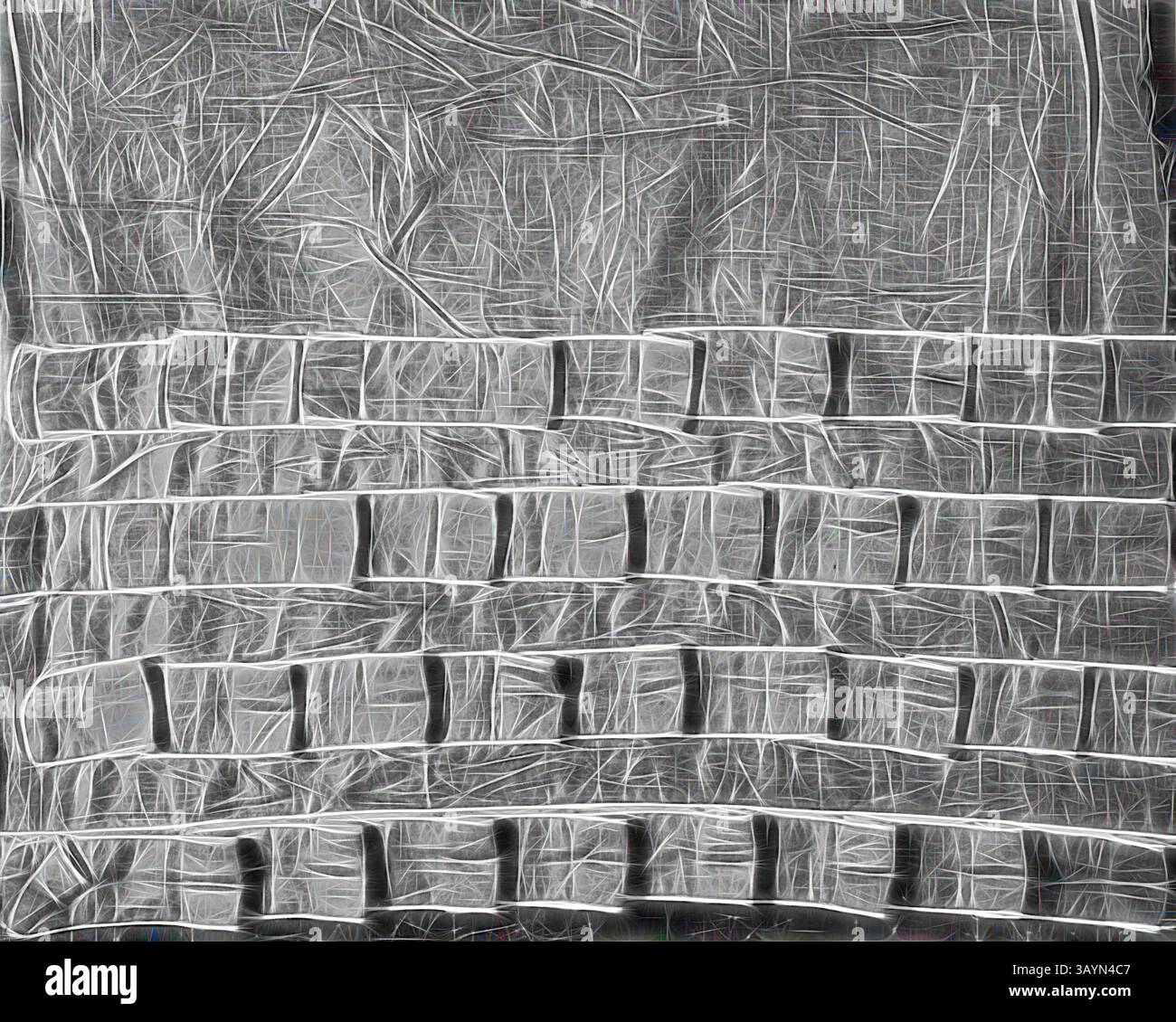 Una composizione astratta caratterizzata da una superficie testurizzata con linee e motivi distinti, che crea un senso di profondità e dimensionalità. Il design incorpora una disposizione simile a una griglia con dimensioni e forme diverse, migliorando il suo fascino visivo. Campione (Dress trimming), 1815/1835, Inghilterra o Francia, Francia, cotone, tessitura semplice, appliquéd con cotone, tessitura semplice, bordata con cordonatura rivestita di cotone, tessitura semplice, 38,1 x 39,05 cm (15 x 15 3/8 poll.) Arte classica con un tocco moderno reinventata da Artotop Foto Stock