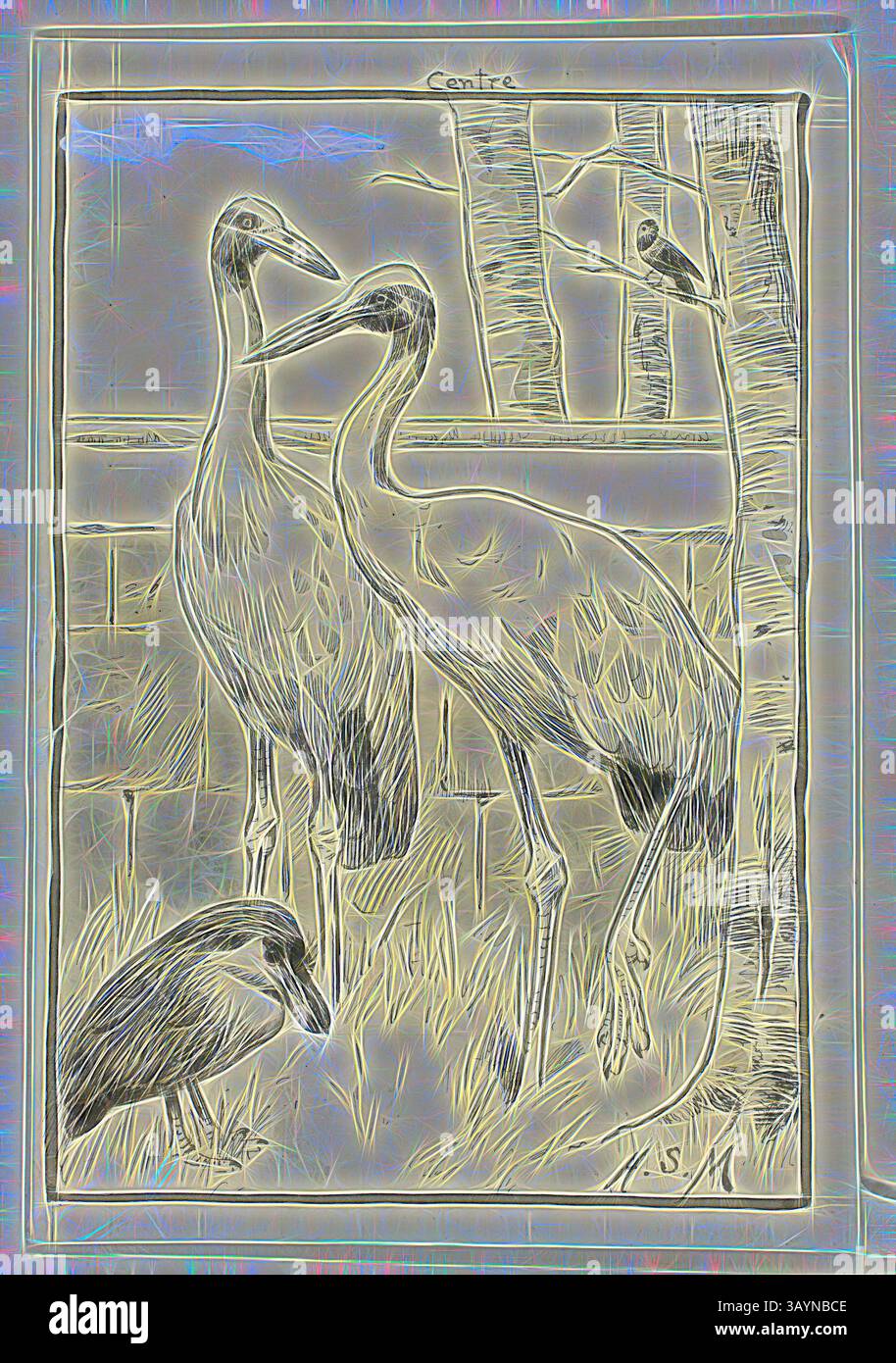 Tre eleganti gru si stagliano tra erba alta, incorniciate da alberi. Una gru si trova in posizione prominente al centro, mentre un'altra è leggermente girata, e un uccello distinto si trova nelle vicinanze, aggiungendo un tocco di intrigo alla scena serena. Four Birds in Landscape, n.d., Henry Stacy Marks, inglese, 1829-1898, Inghilterra, penna e inchiostro nero, con pennello e lavaggio grigio e gouache bianco, squadrato in grafite, su carta tessuta avorio, posato su carta tessuta buff, 158 x 108 mm arte classica con un tocco moderno reinventata da Artotop Foto Stock