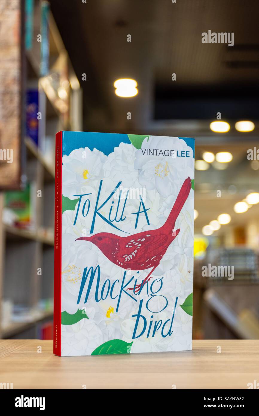 Primo piano di Harper Lee's per uccidere un romanzo di Mockingbird in libreria. Foto Stock
