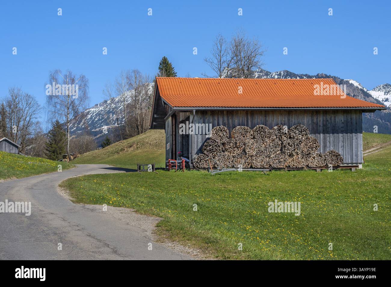 Cielo azzurro, prato primaverile, tortuosa strada di campagna e fienile con legna da ardere impilata a Reckenberg, vicino a Hindelang, Allgaeu, Svevia, Baviera, Germania, Europa Foto Stock