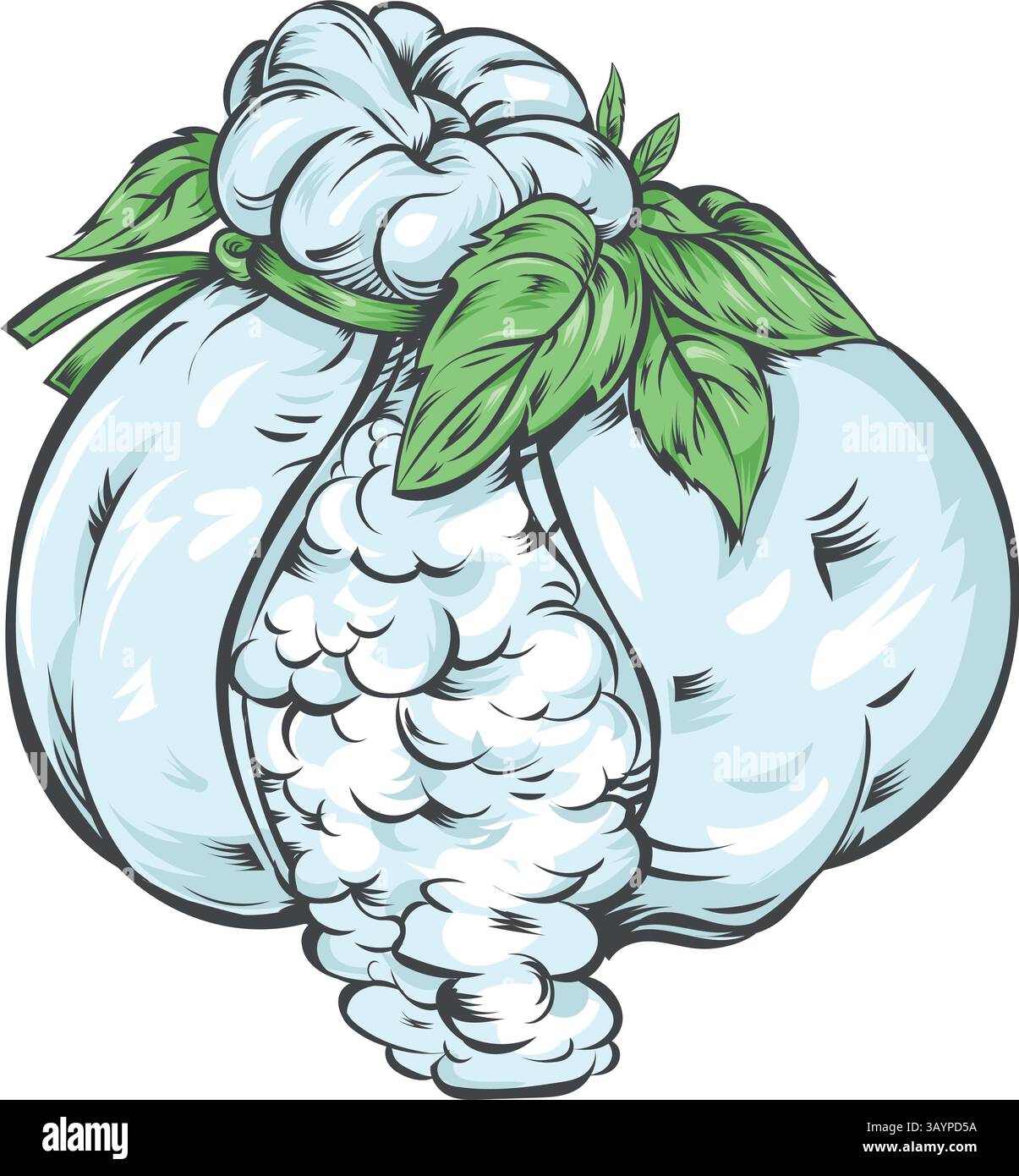 Burrata tradizionale italiana con latte di bufala e basilico fresco. Illustrazione vettoriale. illustrazione vettoriale Illustrazione Vettoriale