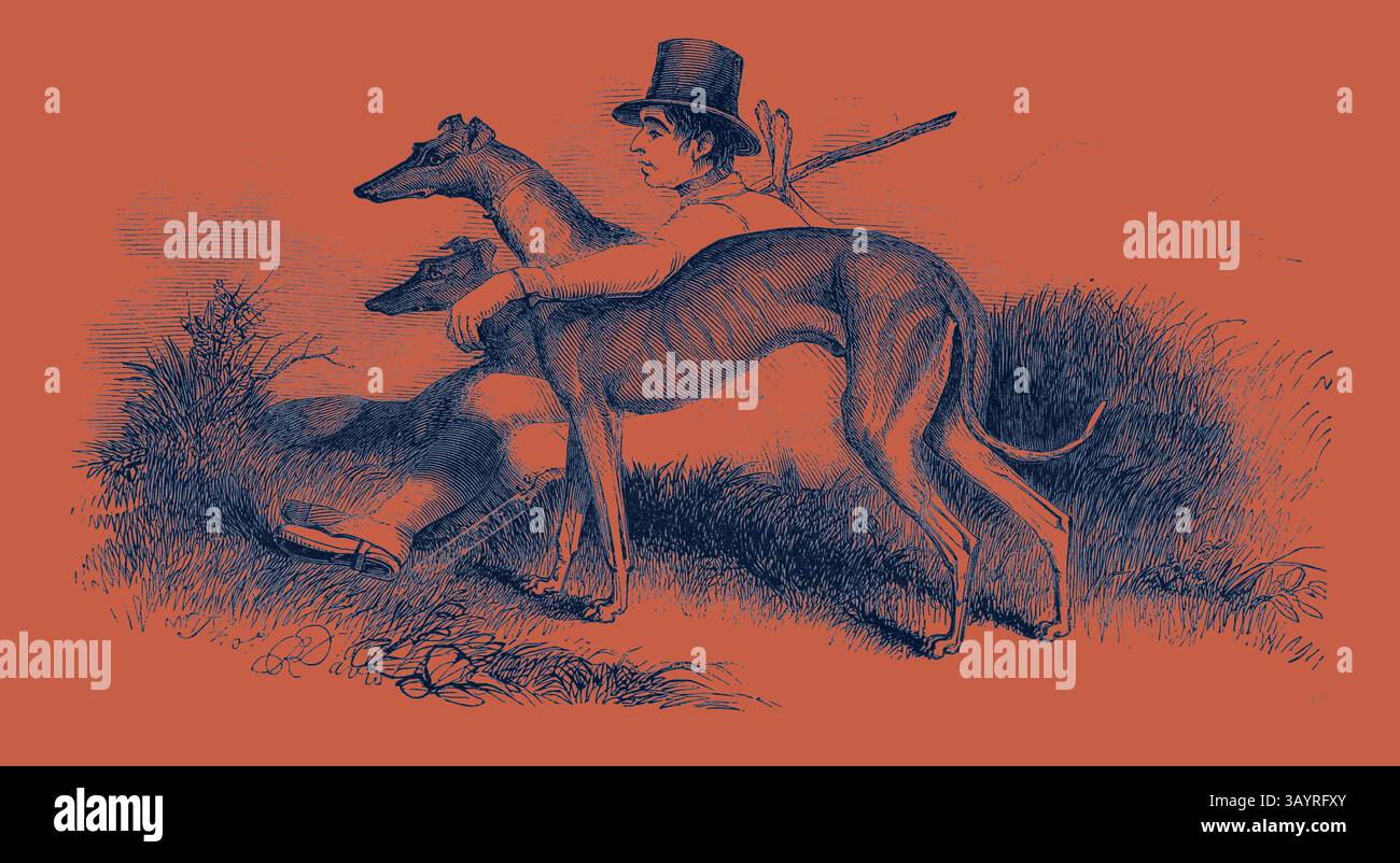 Una figura in un cappello si erge con due levrieri, cullandosi dolcemente uno mentre ne osserva un altro nell'erba vicina, raffigurando un momento di compagnia e grazia in un ambiente naturale. Corso, Greyhounds. Arte classica con un tocco moderno reinventata da Artotop Foto Stock