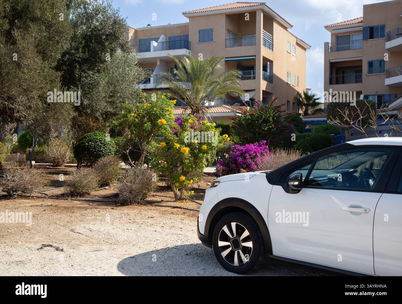 Moderna auto bianca parcheggiata vicino a un'aiuola vicino a una casa. Sulle strade soleggiate di Cipro. Viaggiando in auto Foto Stock