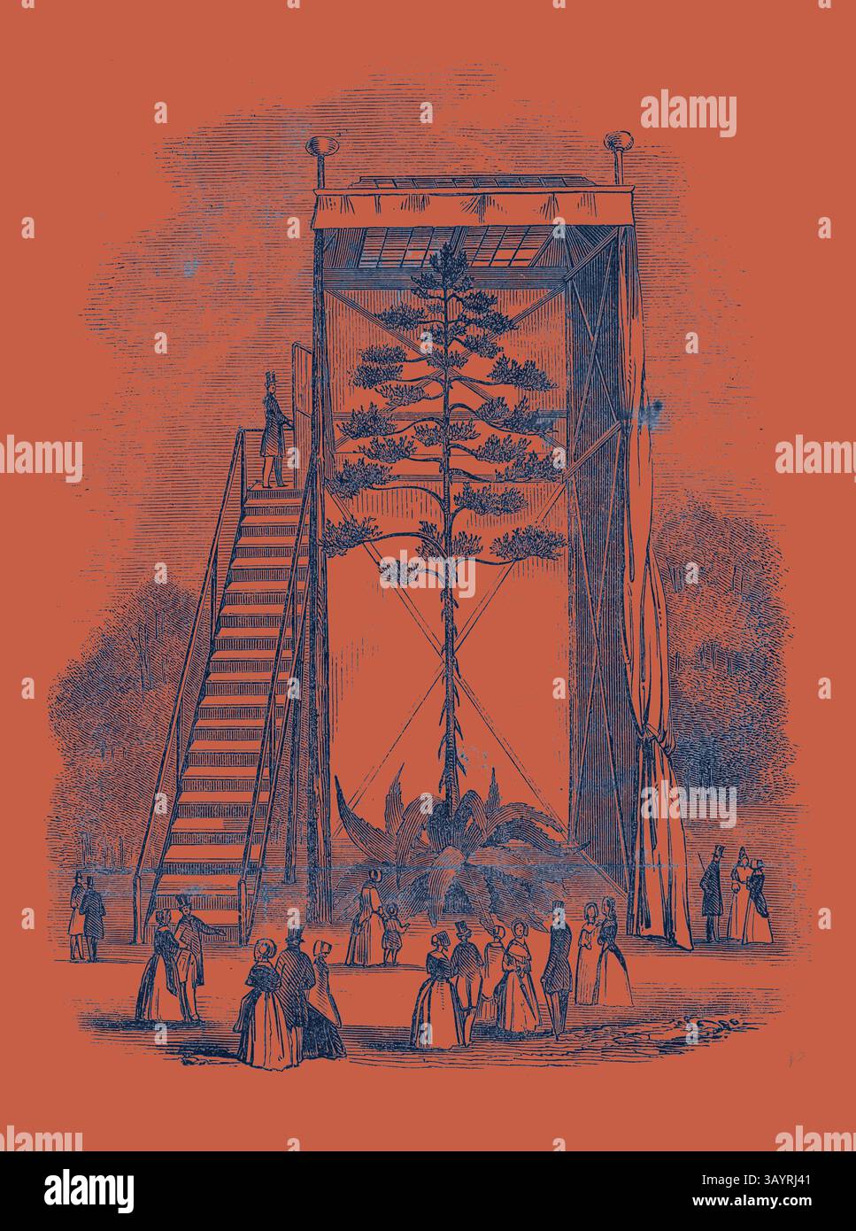 Una folla si riunisce di fronte a un grande palcoscenico caratterizzato da un'elaborata installazione di alberi, circondata da una cornice decorativa. Una serie di scale conduce a una piattaforma superiore dove si erge una figura, mentre i partecipanti elegantemente vestiti osservano la scena sottostante, mettendo in risalto una miscela di natura e arte architettonica. Great American Aloe, nell'arte Bloom Classic con un tocco moderno reinventato da Artotop Foto Stock