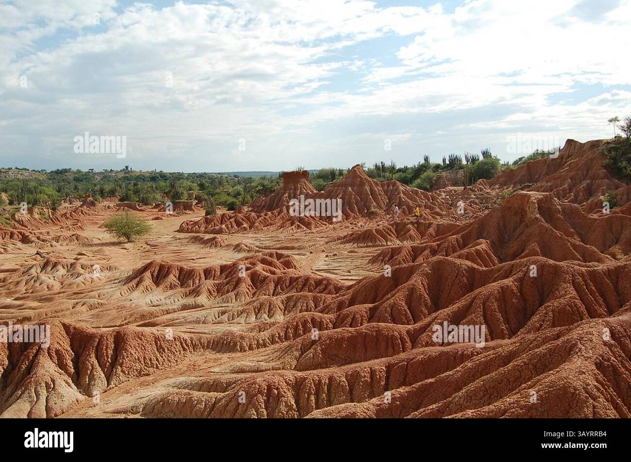 4 agosto 2010 - NEIVA - El desierto de la Tatacoa ocupa 330 kilÃ³metros cuadrados de tierra; despuÃ©s de la Guajira, es la zona Ãrida mÃs extensa de Colombia. (Immagine di credito: © El Tiempo/GDA/ZUMApress.com) Foto Stock
