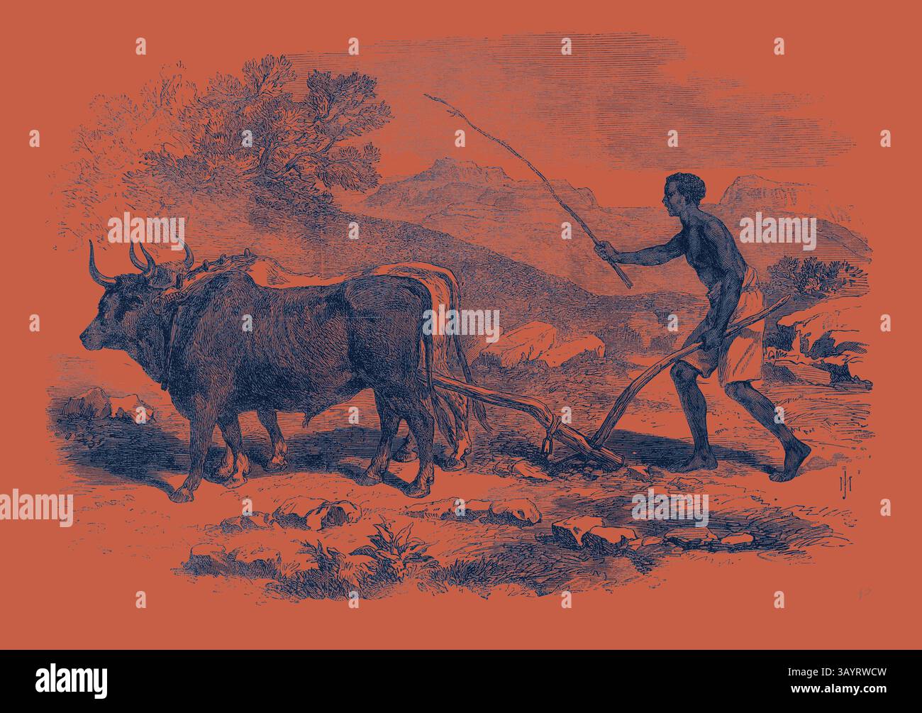 Un contadino guida un paio di buoi mentre arano un campo, circondato da un paesaggio aspro e colline lontane. La spedizione Abissiniana: Un aratro nativo nella provincia di Tigre 1868 arte classica con un tocco moderno reinventato da Artotop Foto Stock