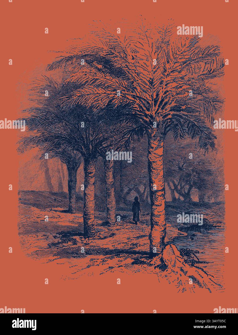 Un paesaggio sereno caratterizzato da alte palme che costeggiano un sentiero, con una figura solitaria in lontananza, che evoca un senso di tranquillità e solitudine in mezzo alla natura. IL POZZO DI MOSÈ. Egitto, incisione 1879 arte classica con un tocco moderno reinventata da Artotop Foto Stock