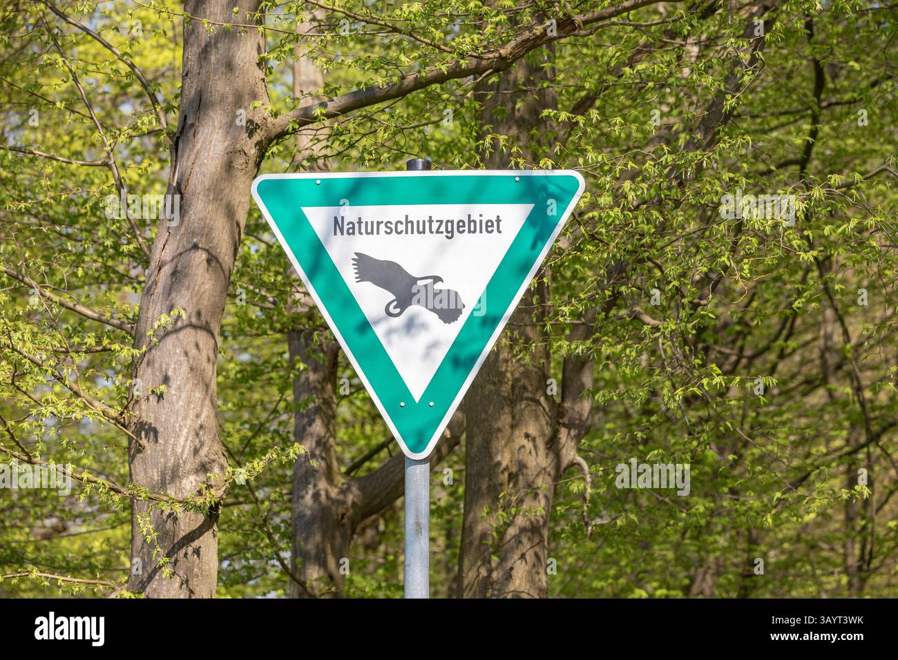 Cartello di riserva naturale ai margini della foresta Foto Stock
