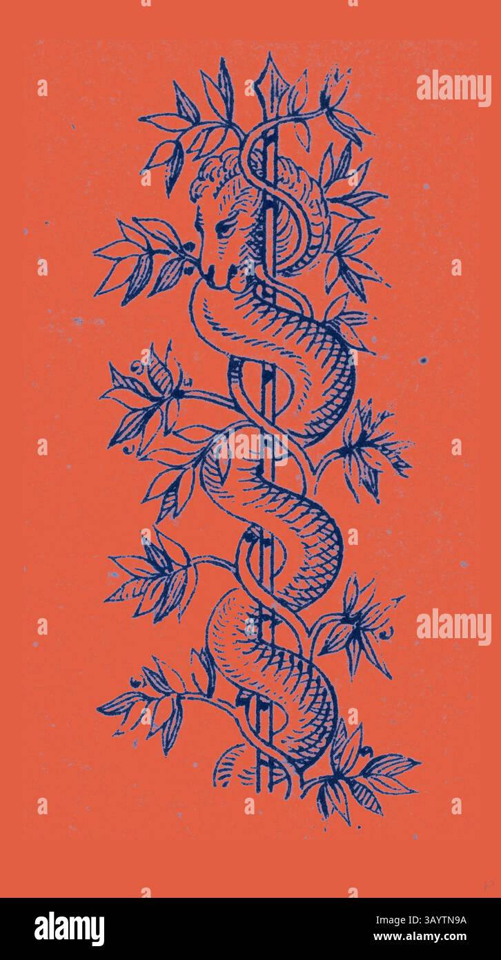Un'illustrazione stilizzata presenta un serpente avvolto intorno a un bastone, circondato da un fogliame intricato, che simboleggia guarigione e medicina. Decorazioni italiane classiche con un tocco moderno reinventato da Artotop Foto Stock