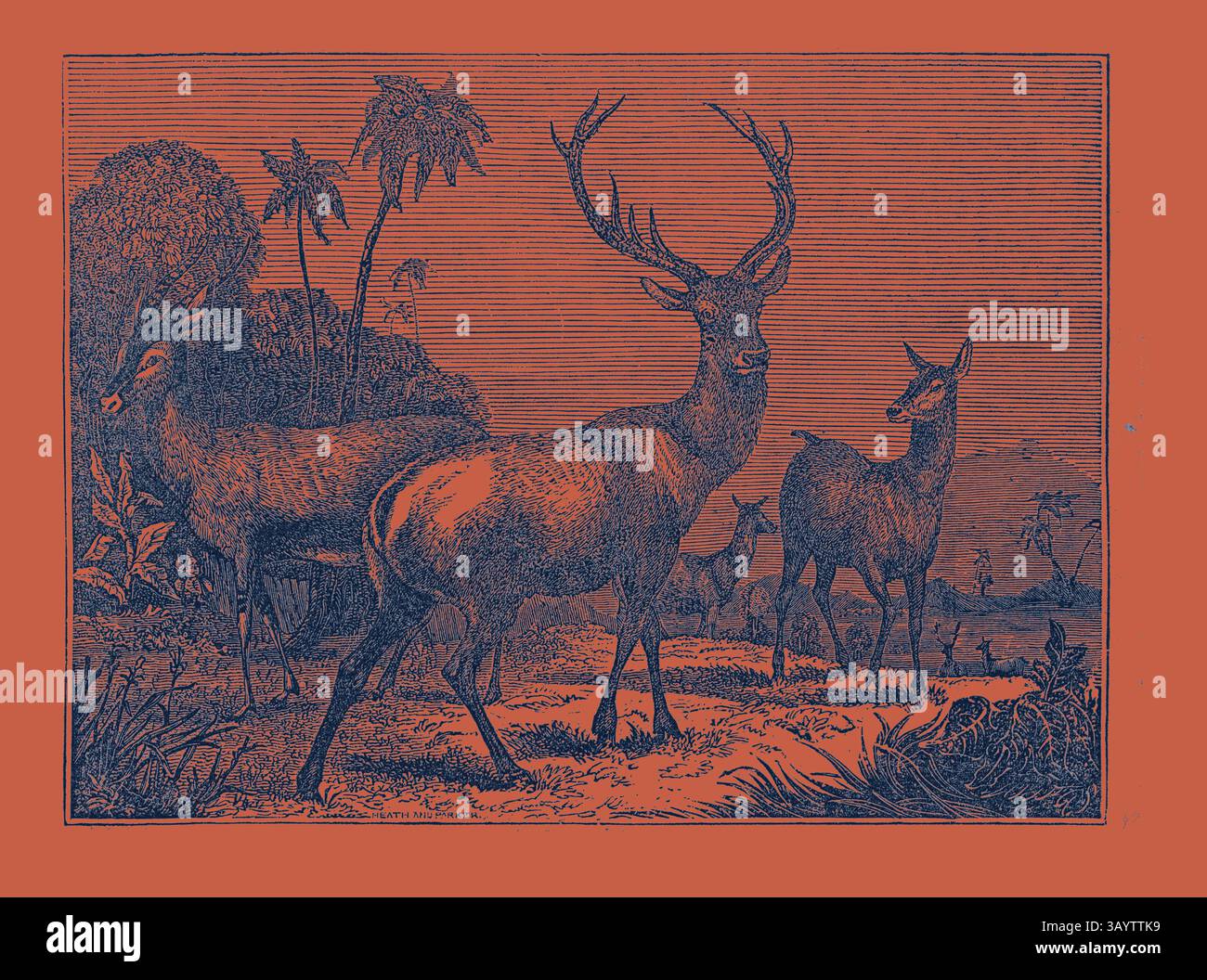 Un paesaggio sereno mette in mostra un gruppo di cervi, con un cavallo che mostra in modo prominente le sue corna, circondato da vegetazione lussureggiante e colline lontane, evocando un senso di tranquillità e connessione con la natura. L'ANTELOPE, l'HART, L'arte classica HIND con un tocco moderno reinventato da Artotop Foto Stock