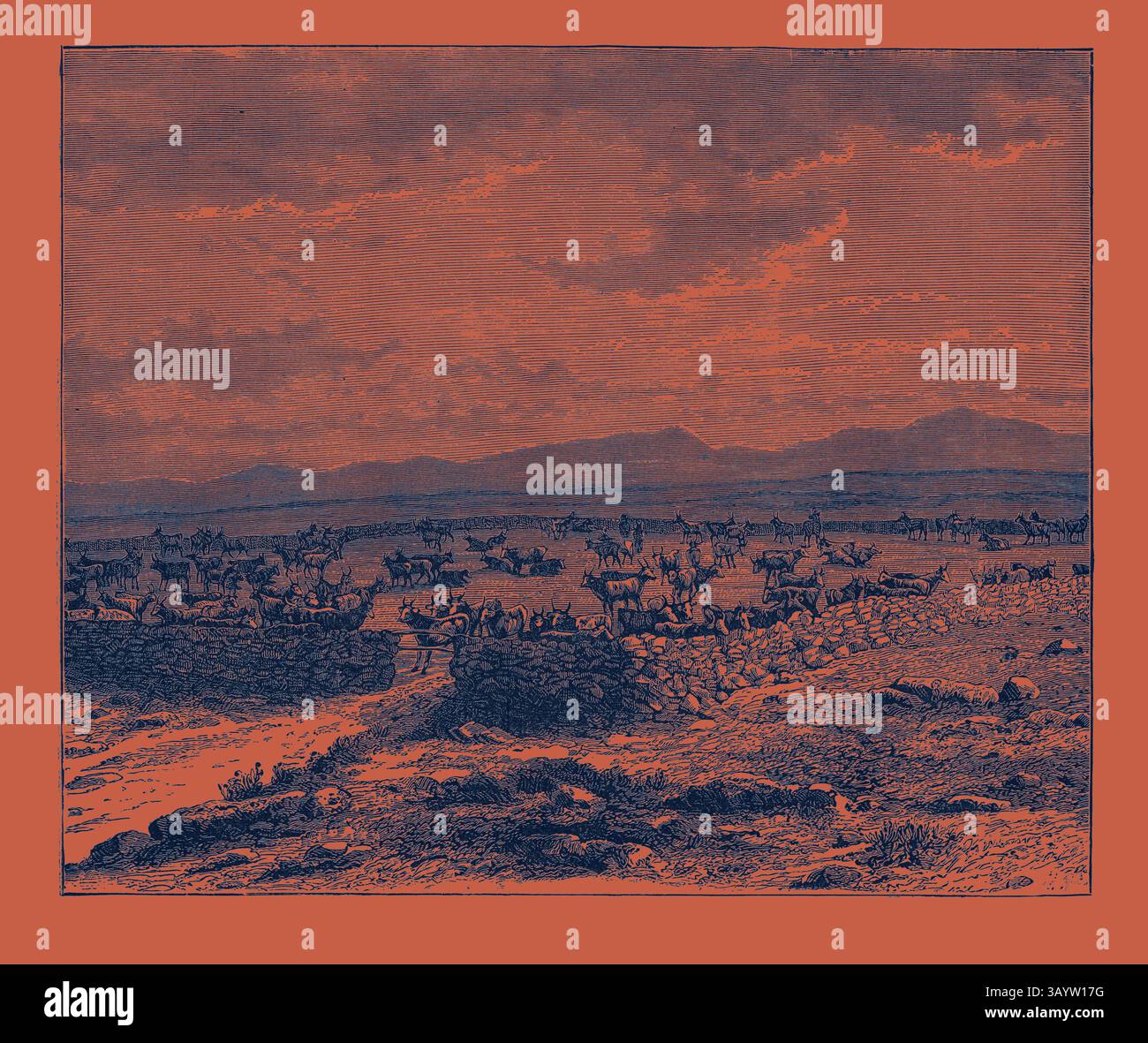 Un vasto paesaggio mostra mandrie di bestiame che pascolano, con montagne lontane che incorniciano l'orizzonte e un cielo spettacolare in alto, creando un'atmosfera ampia e serena. UN KRAAL DI BESTIAME SUDAFRICANO. Arte classica SUDAFRICANA con un tocco moderno reinventata da Artotop Foto Stock