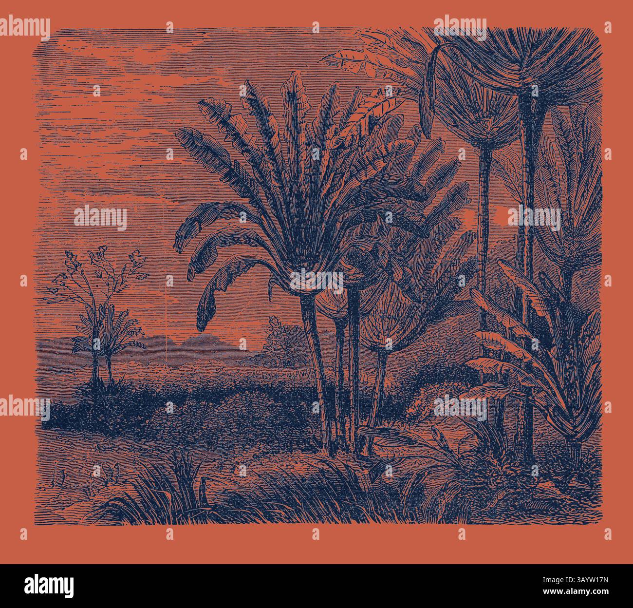 Un tranquillo paesaggio caratterizzato da alte palme stilizzate e lussureggianti fronti, adagiato su uno sfondo di nuvole e colline lontane, creando un'atmosfera tranquilla ma esotica. L'ALBERO DEI VIAGGIATORI (Urania speciosa). Arte classica con un tocco moderno reinventata da Artotop Foto Stock