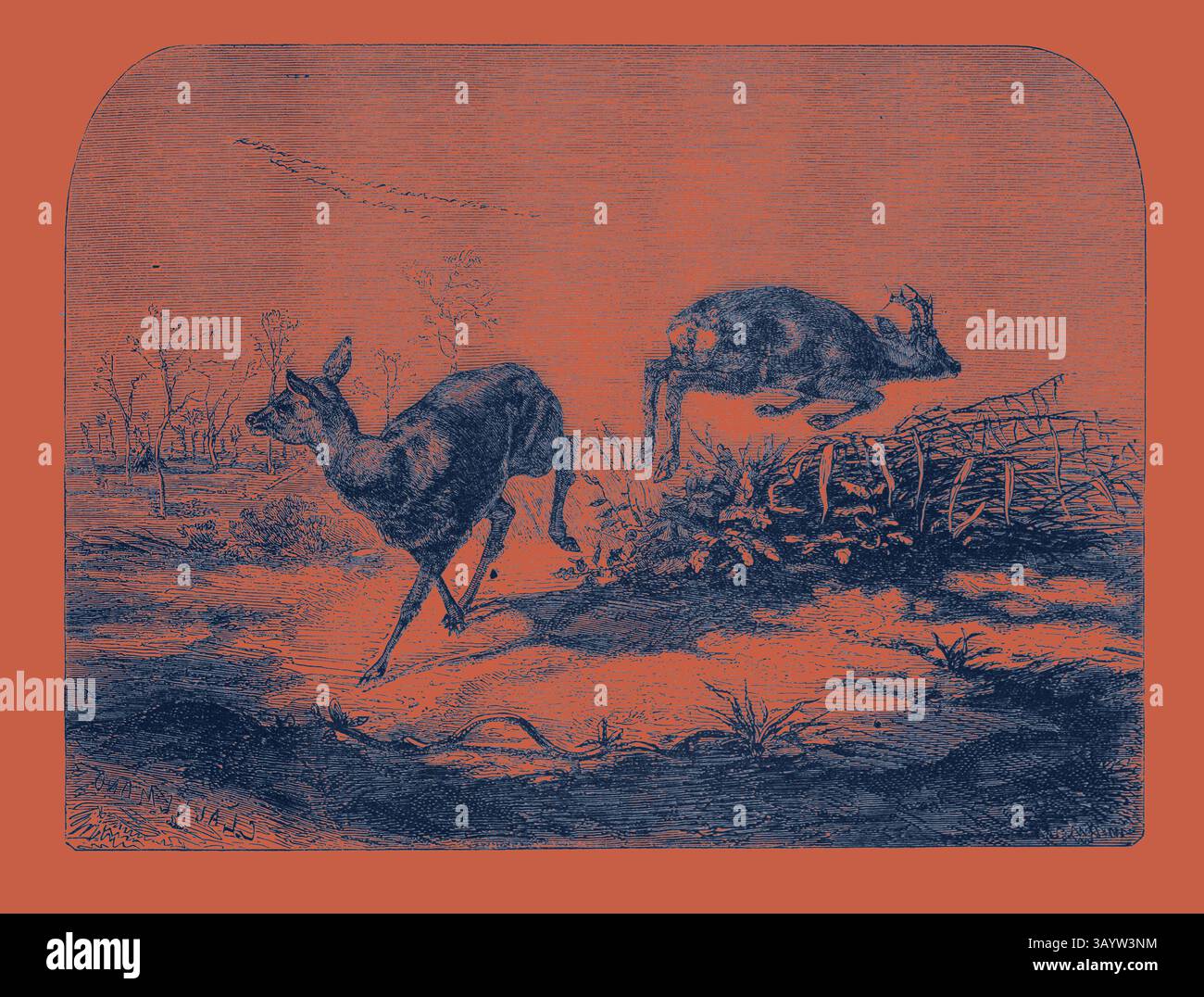 Un cervo salta con grazia sopra una recinzione rustica, catturata a metà azione, mentre un altro cervo guarda nelle vicinanze, ambientato in un paesaggio sereno. Cervo sorpreso dal signor Haffner. Incisione 1855 arte classica con un tocco moderno reinventata da Artotop Foto Stock