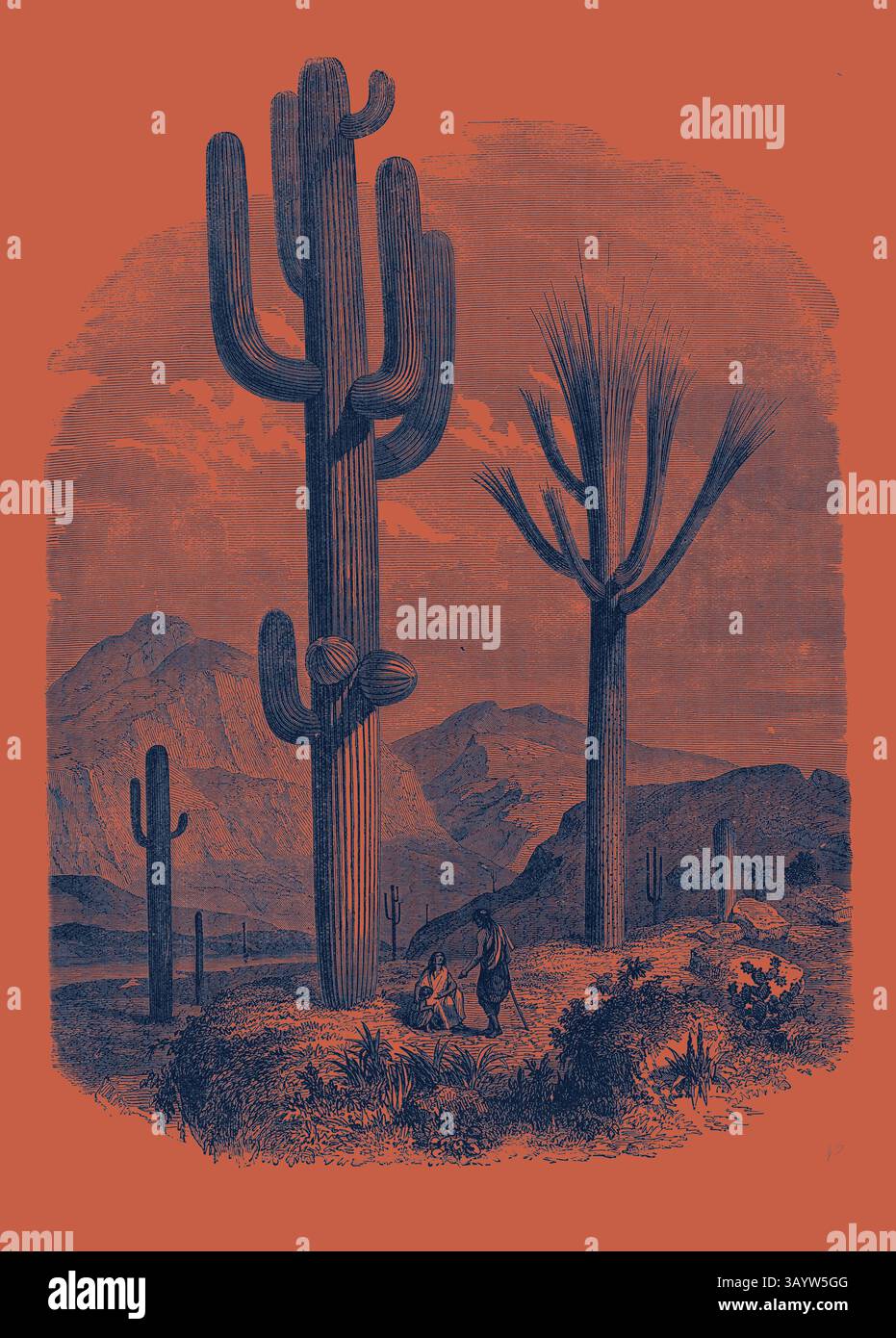 Un paesaggio desolato presenta torreggianti cactus accanto alle aspre montagne, con una figura che cammina in primo piano, evocando un senso di esplorazione in un ambiente arido. Il Cereus giganteus, o arte classica del Cactus Monumentale con un tocco moderno reinventato da Artotop Foto Stock