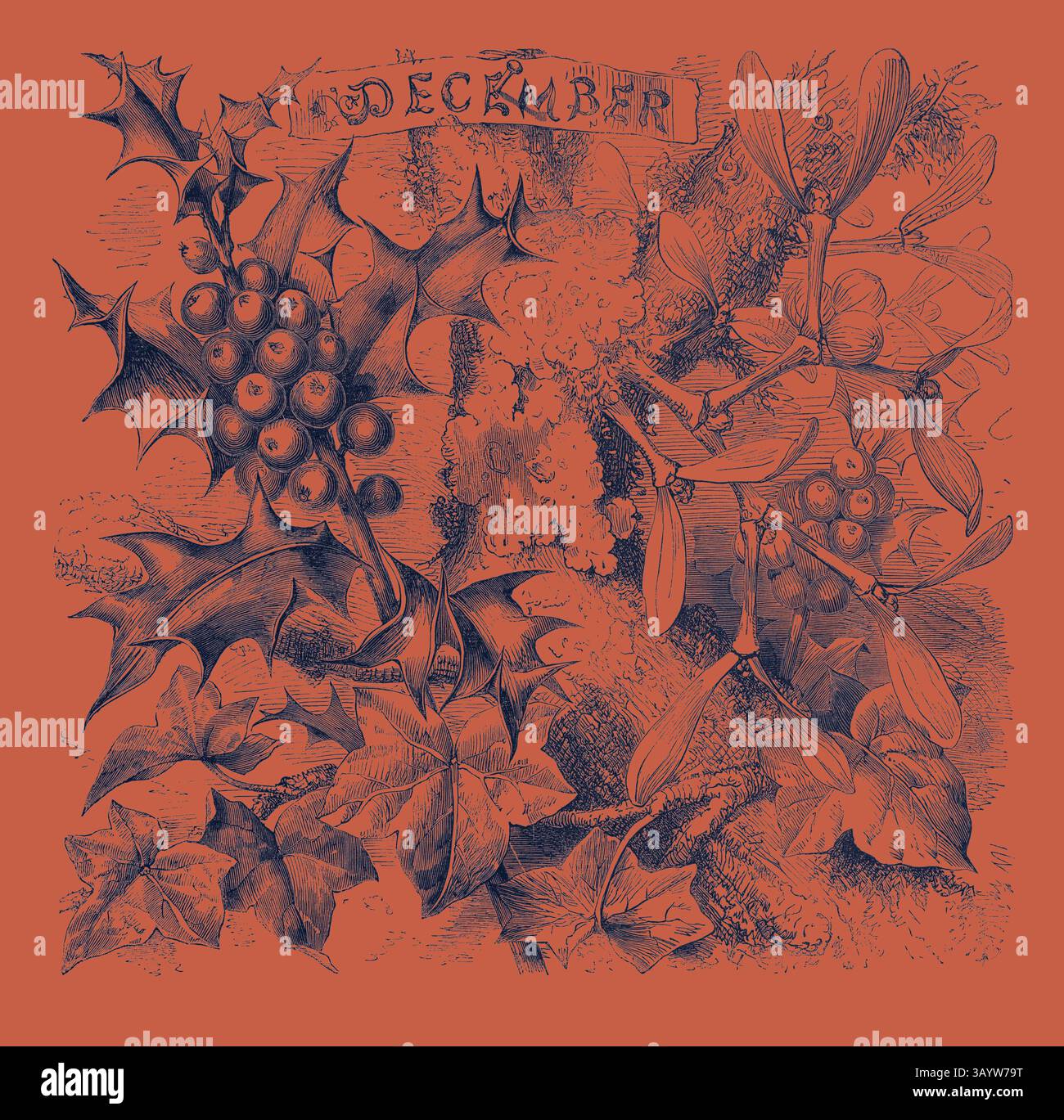 Un'illustrazione dettagliata di vari fogliami invernali, tra cui holly e il mignolo, adornati con frutti di bosco e foglie intricate, completata dalla parola "dicembre" in cima. Dicembre, Calendario, anno, mese, arte classica mensile con un tocco moderno reinventata da Artotop Foto Stock