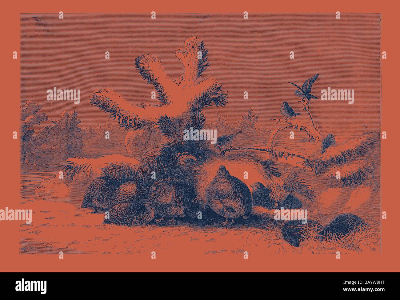 Un tranquillo paesaggio presenta un gruppo di quaglie annidate tra il fogliame, con uccelli arroccati sopra e uno sfondo di alberi, creando una tranquilla scena di armonia della natura. L'arte Covey Classic con un tocco moderno reinventata da Artotop Foto Stock